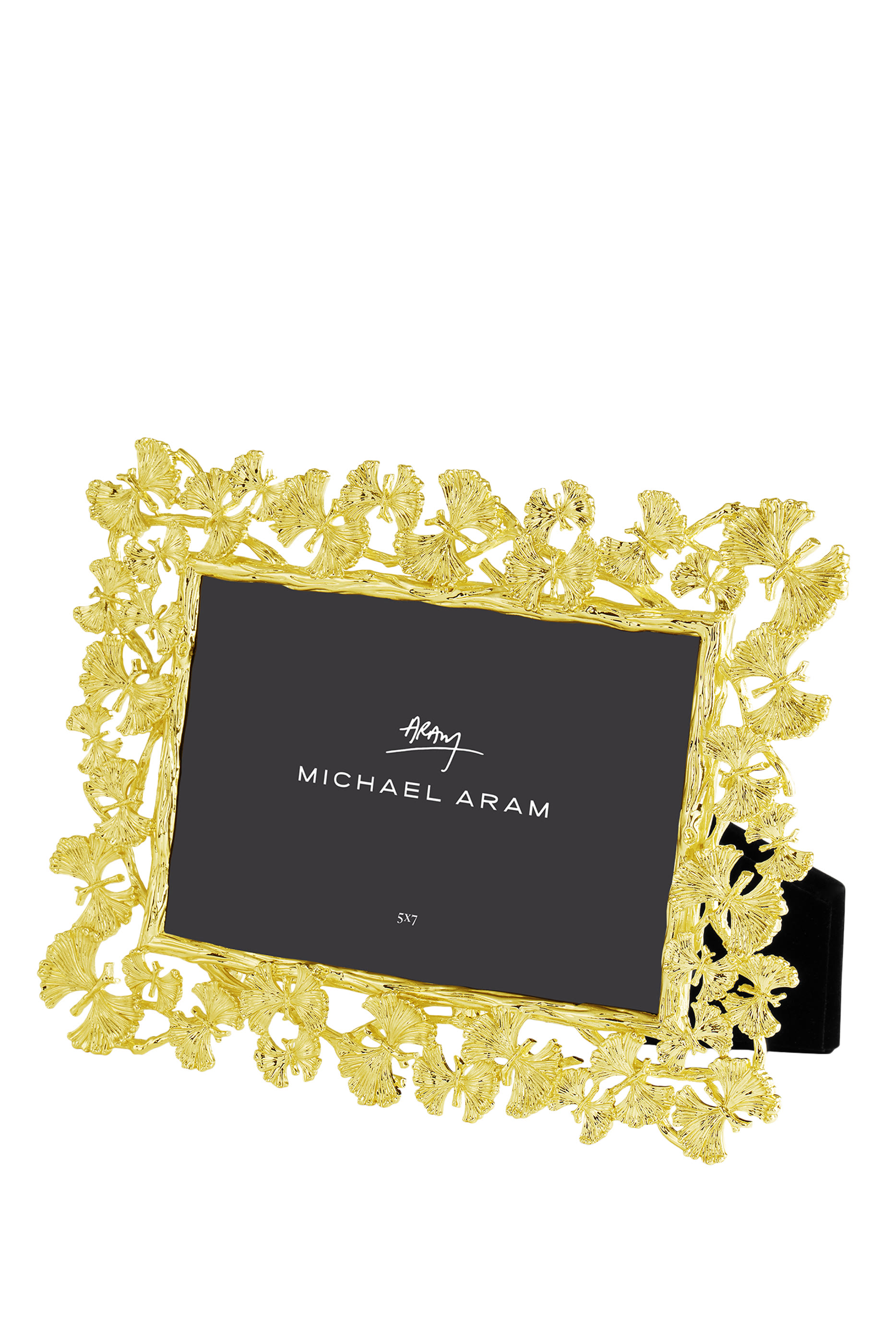 Butterfly Ginkgo 4x6