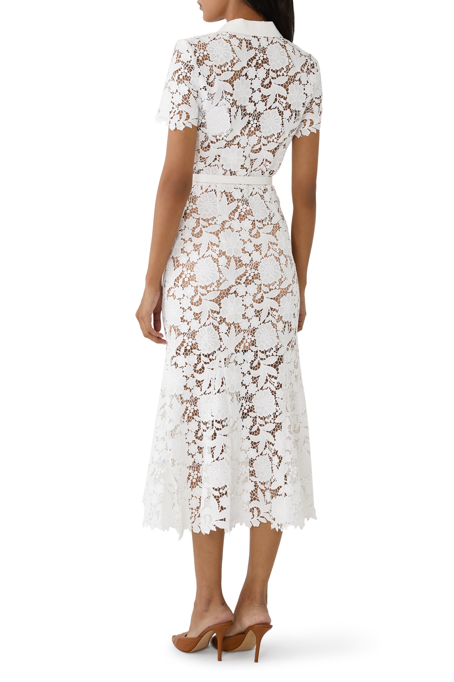 Lace Collared Midi Dress