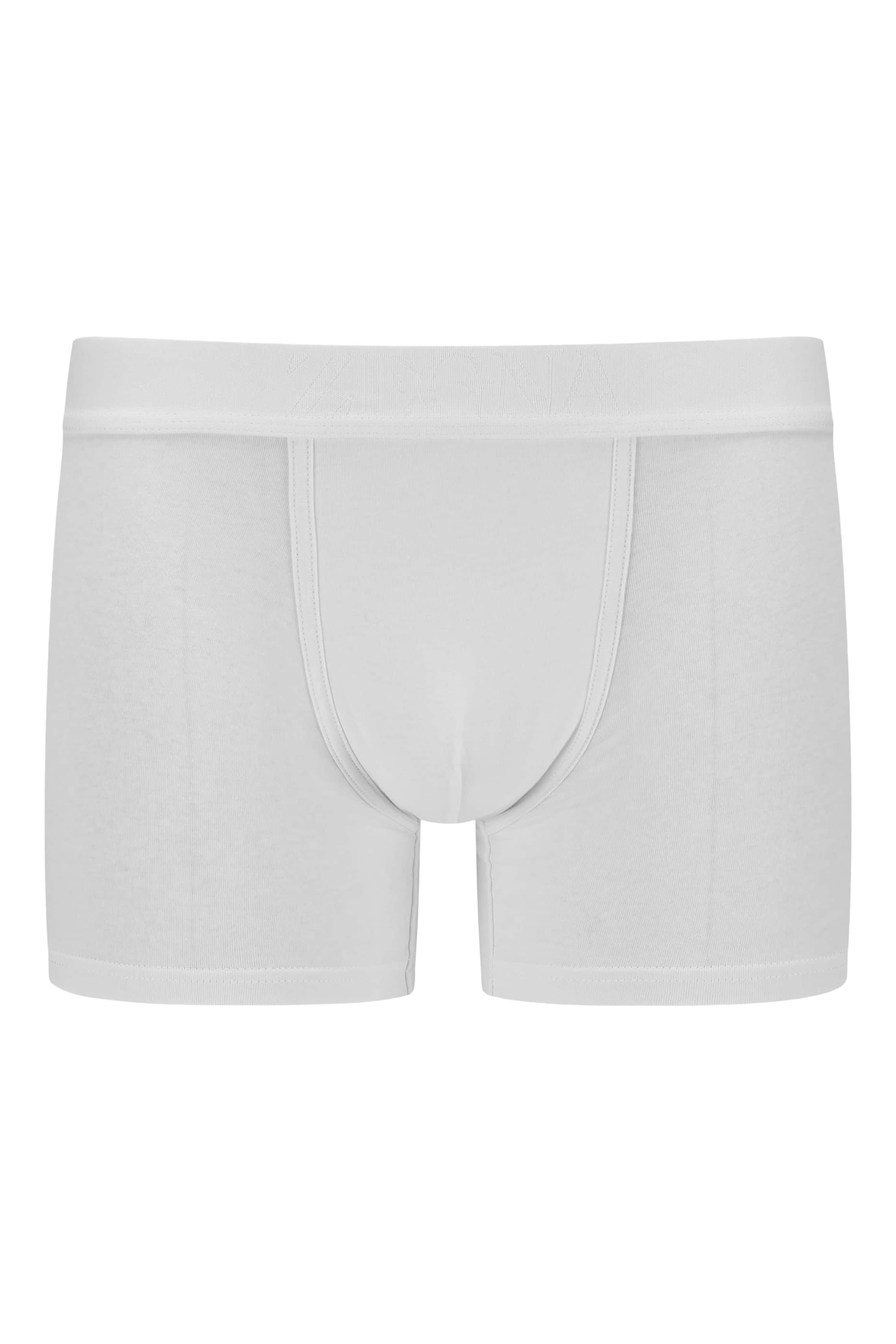 Boxer Briefs, Set of 2