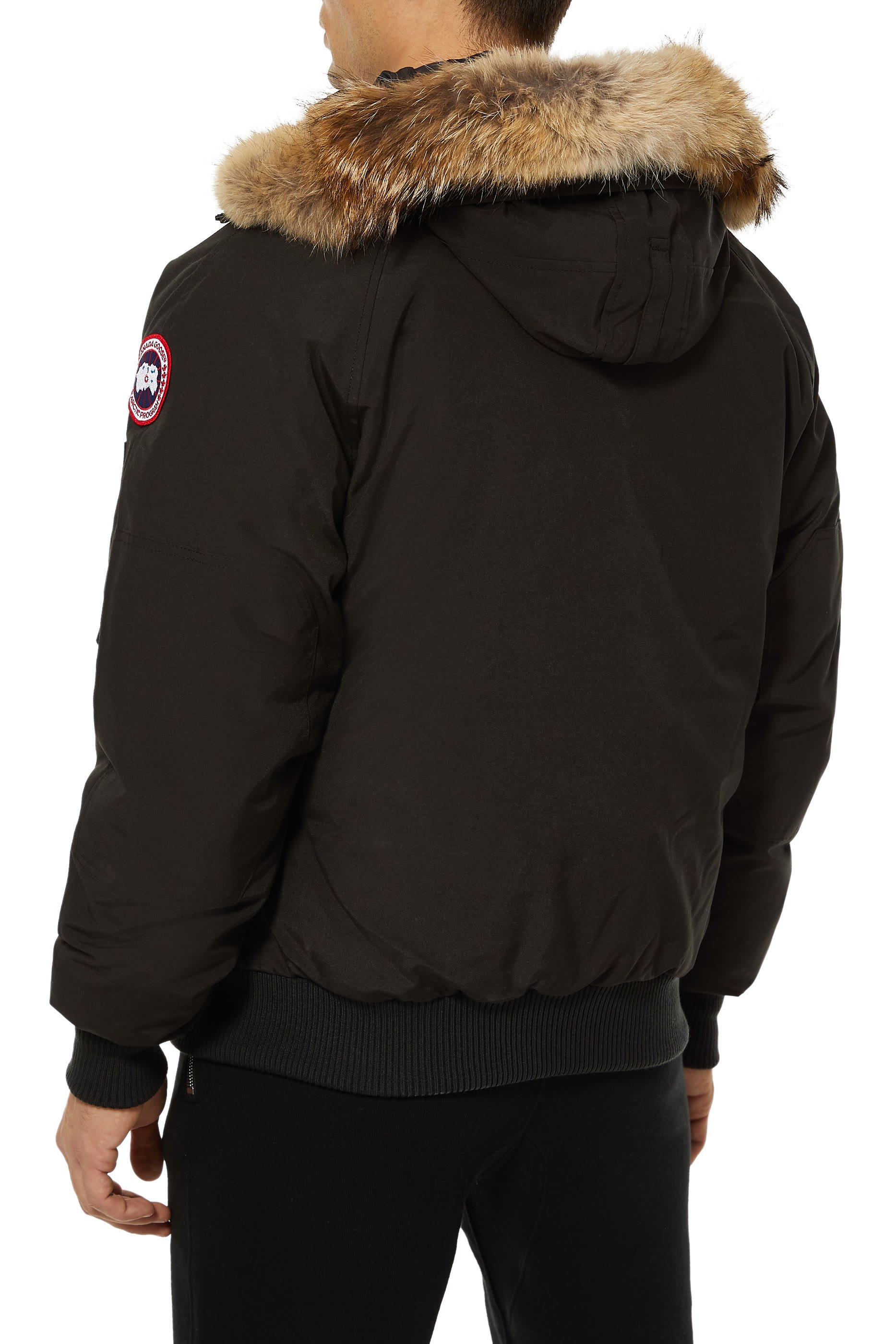 Chilliwack Down Bomber