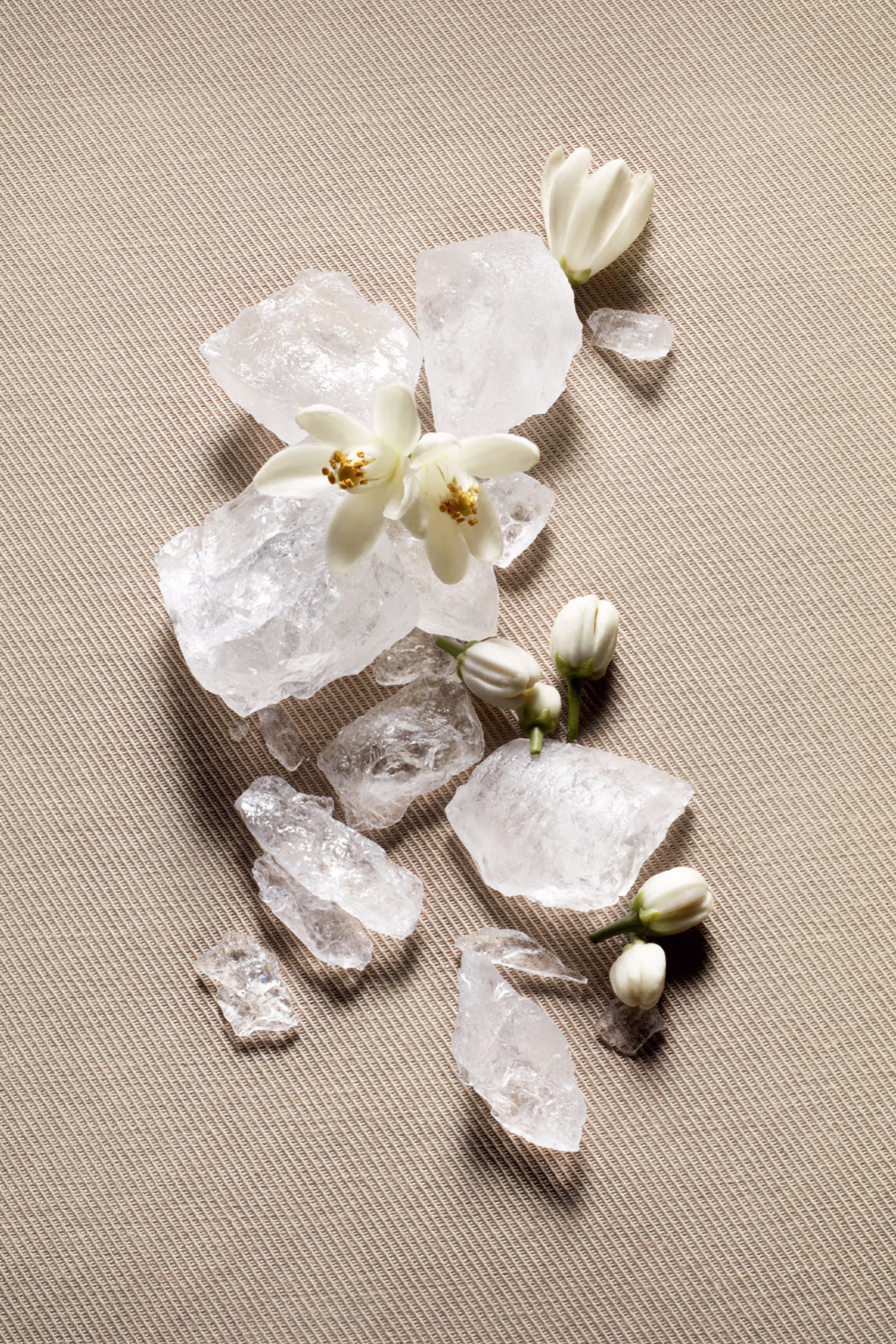 Les Vestiaires Tuxedo Eau de Parfum