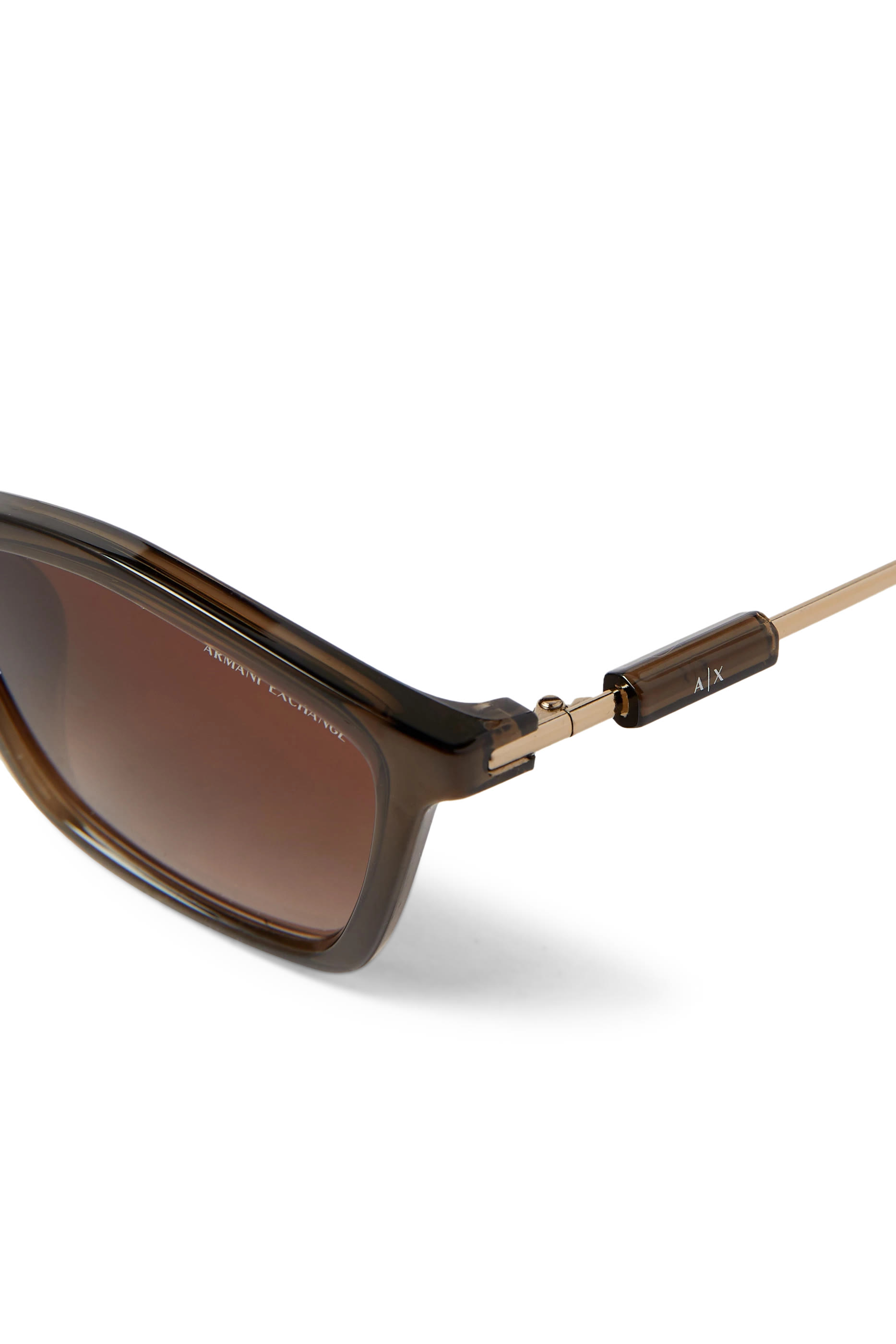 4146S D-Frame Sunglasses