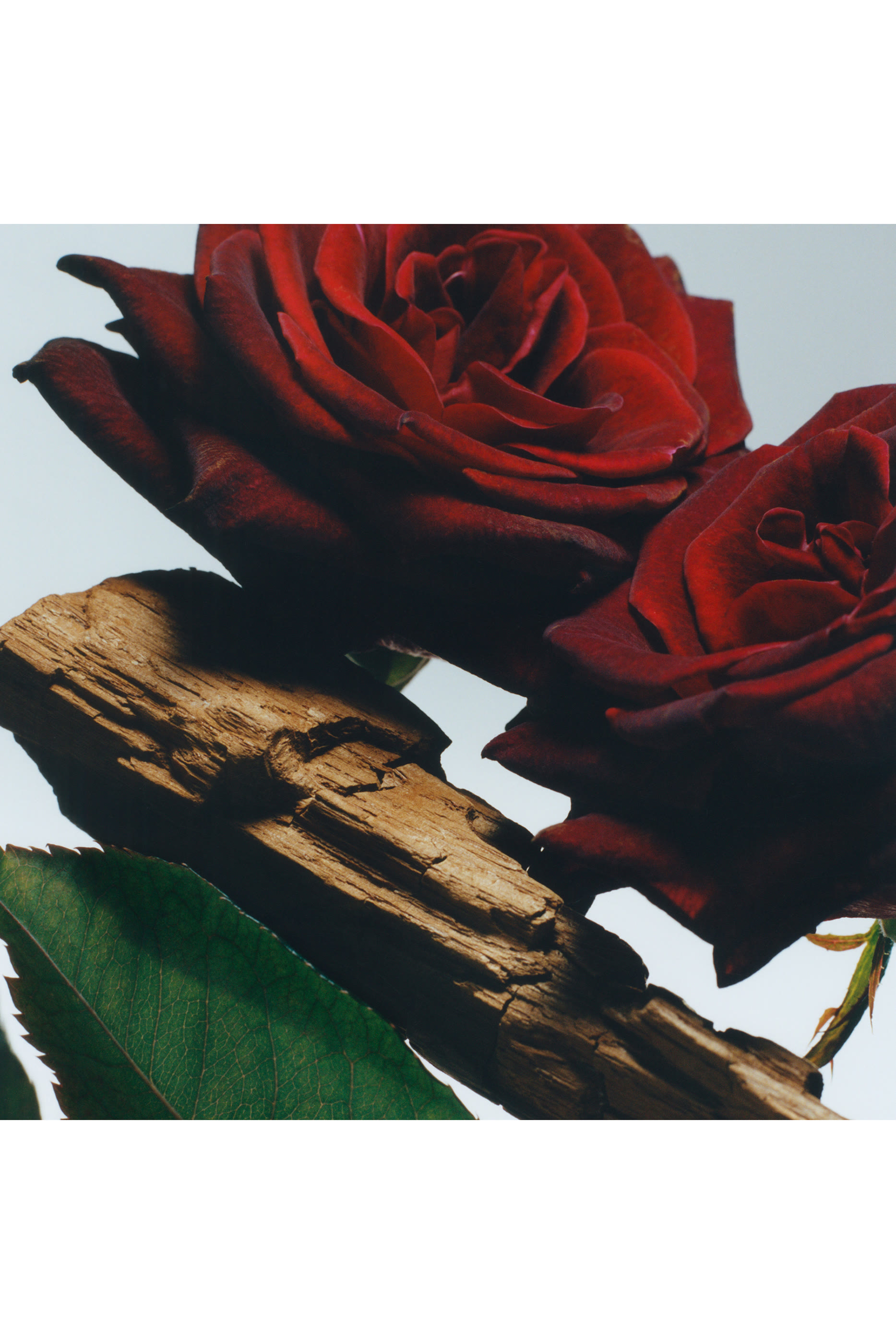 Velvet Rose & Oud Cologne Intense Eau de Parfum