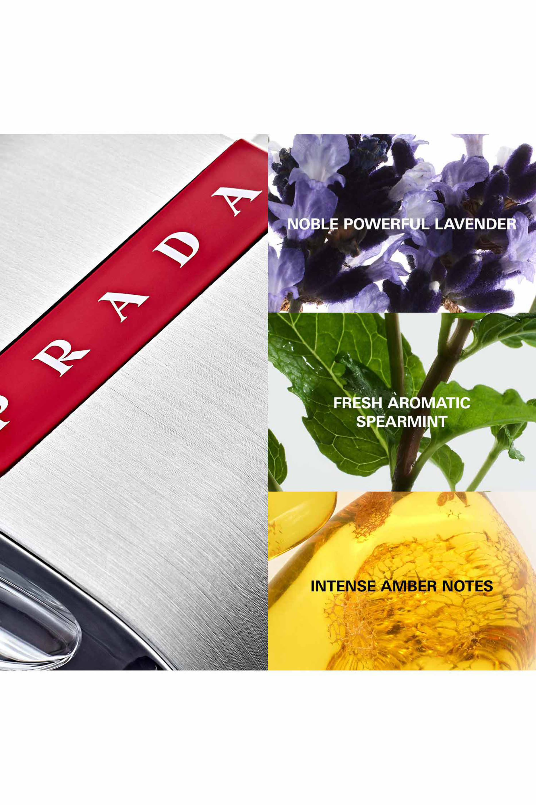 Luna Rossa Eau de Toilette