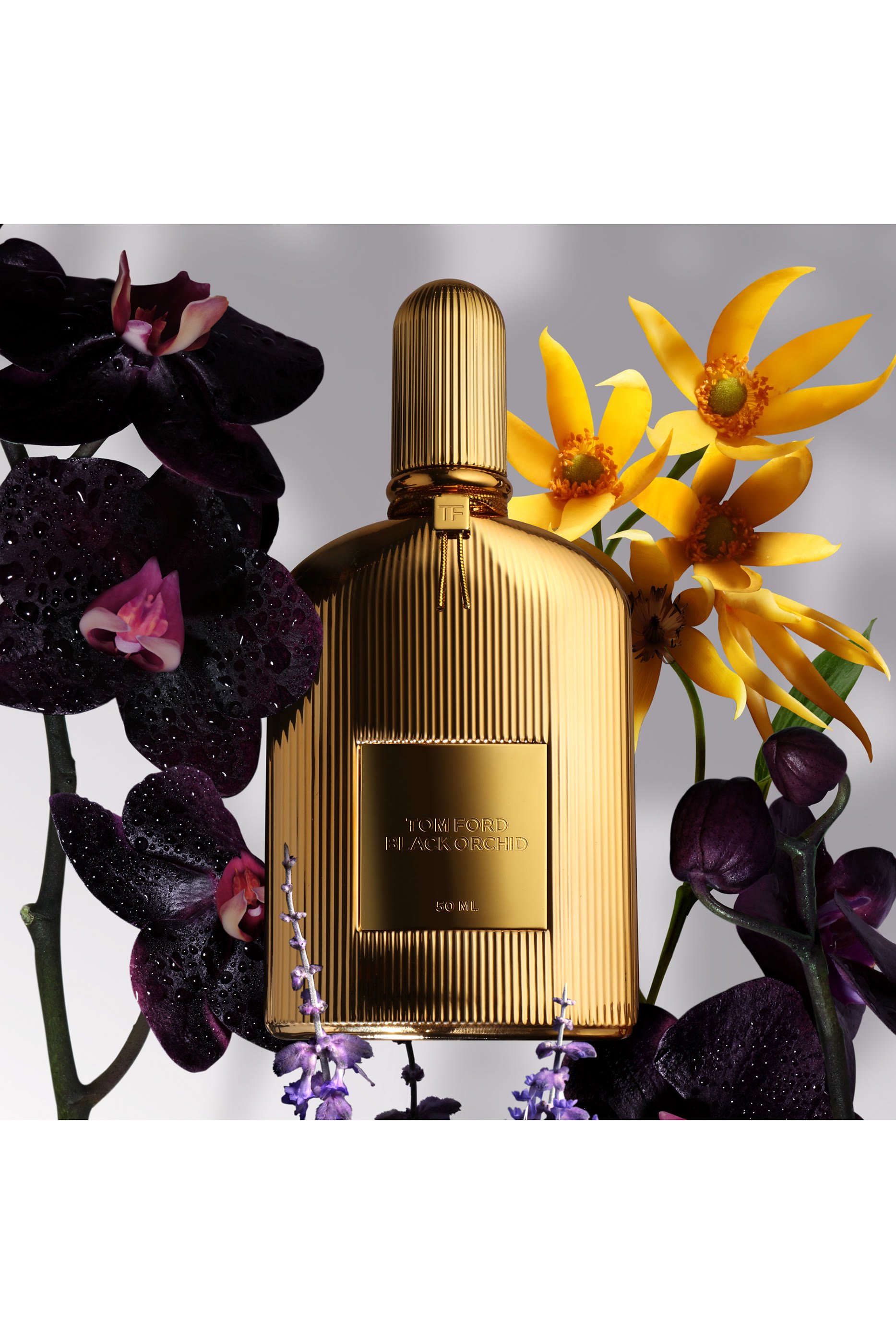 Black Orchid Parfum
