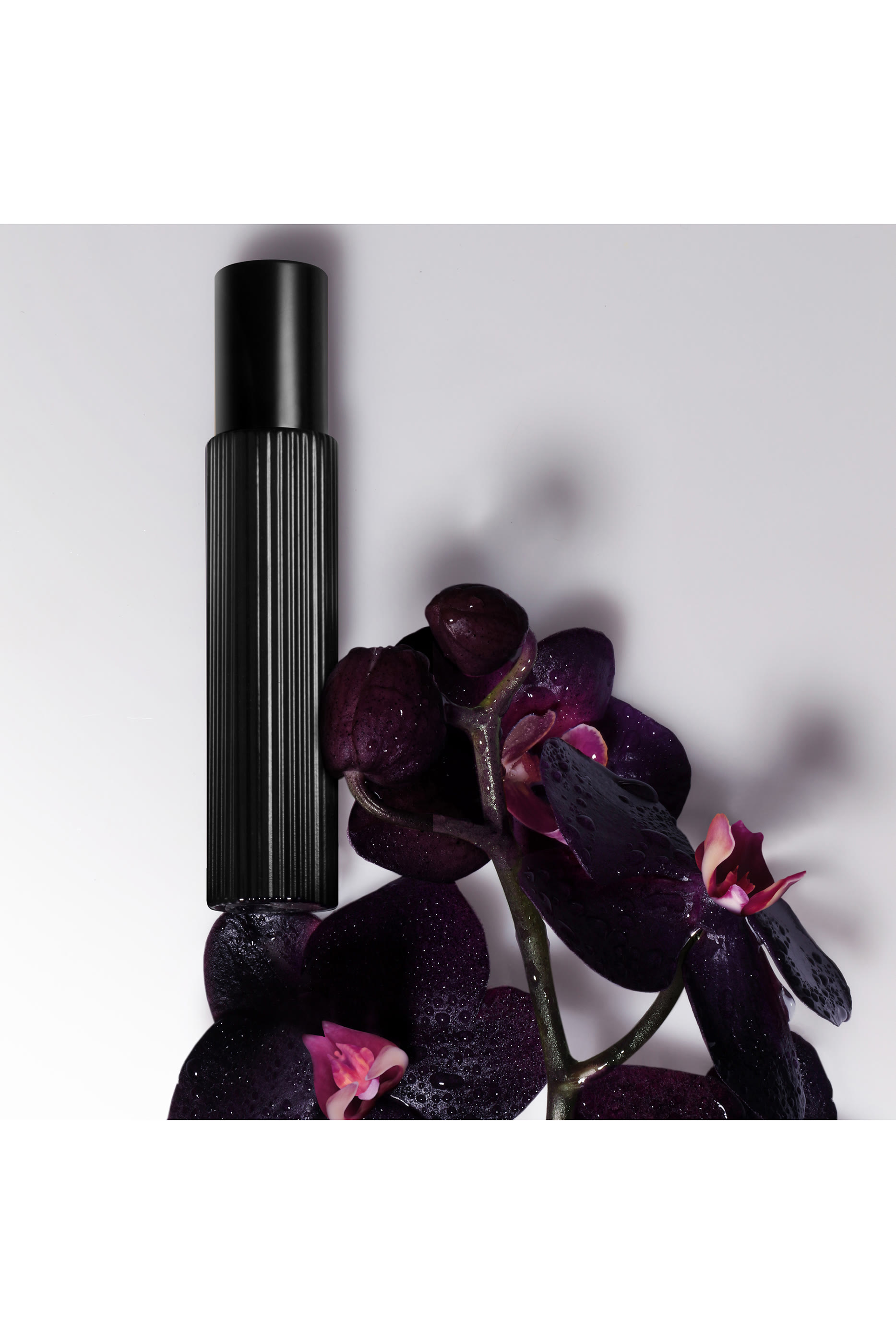 Black Orchid Eau de Parfum Set