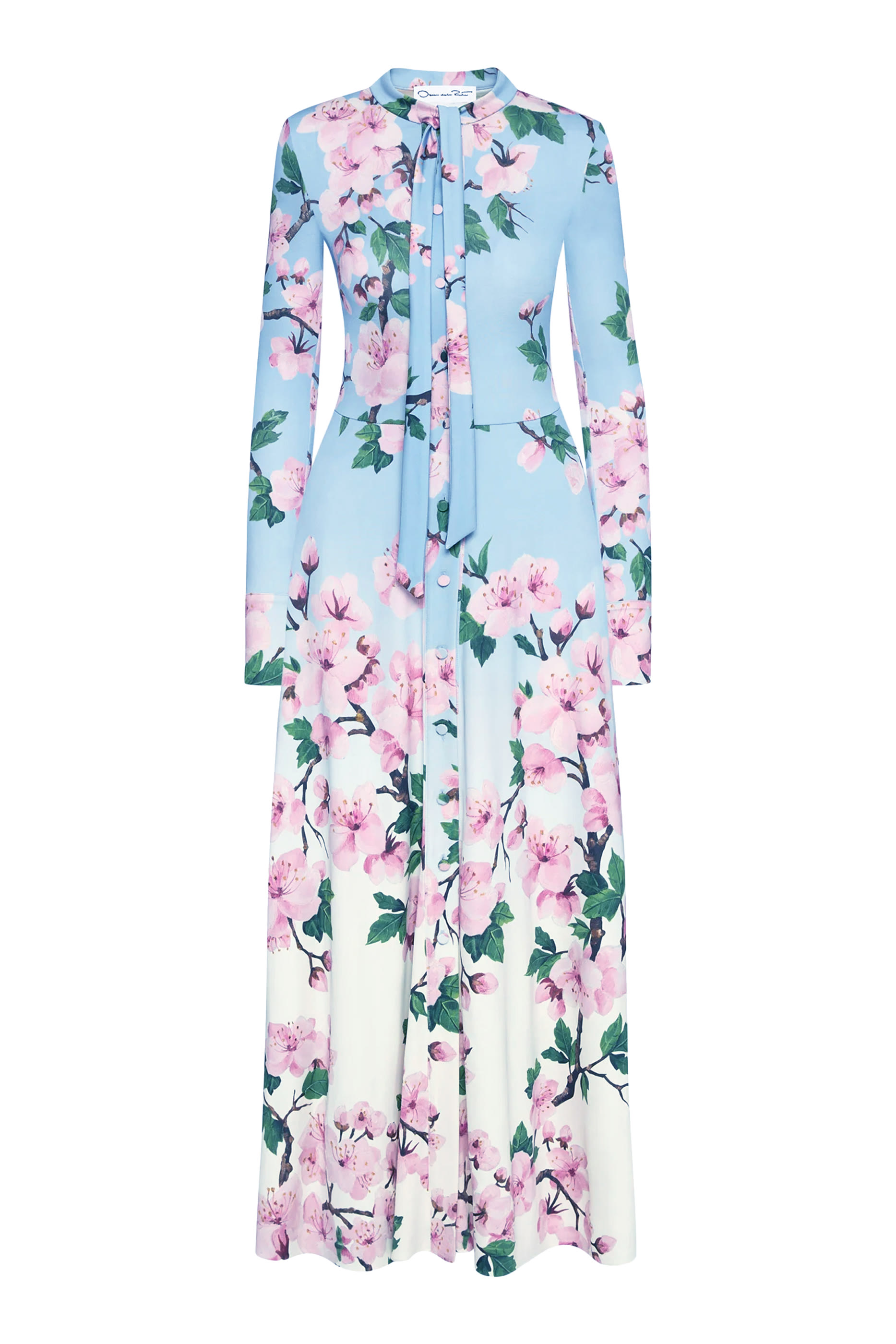 Ombré Cherry Blossom Jersey Dress