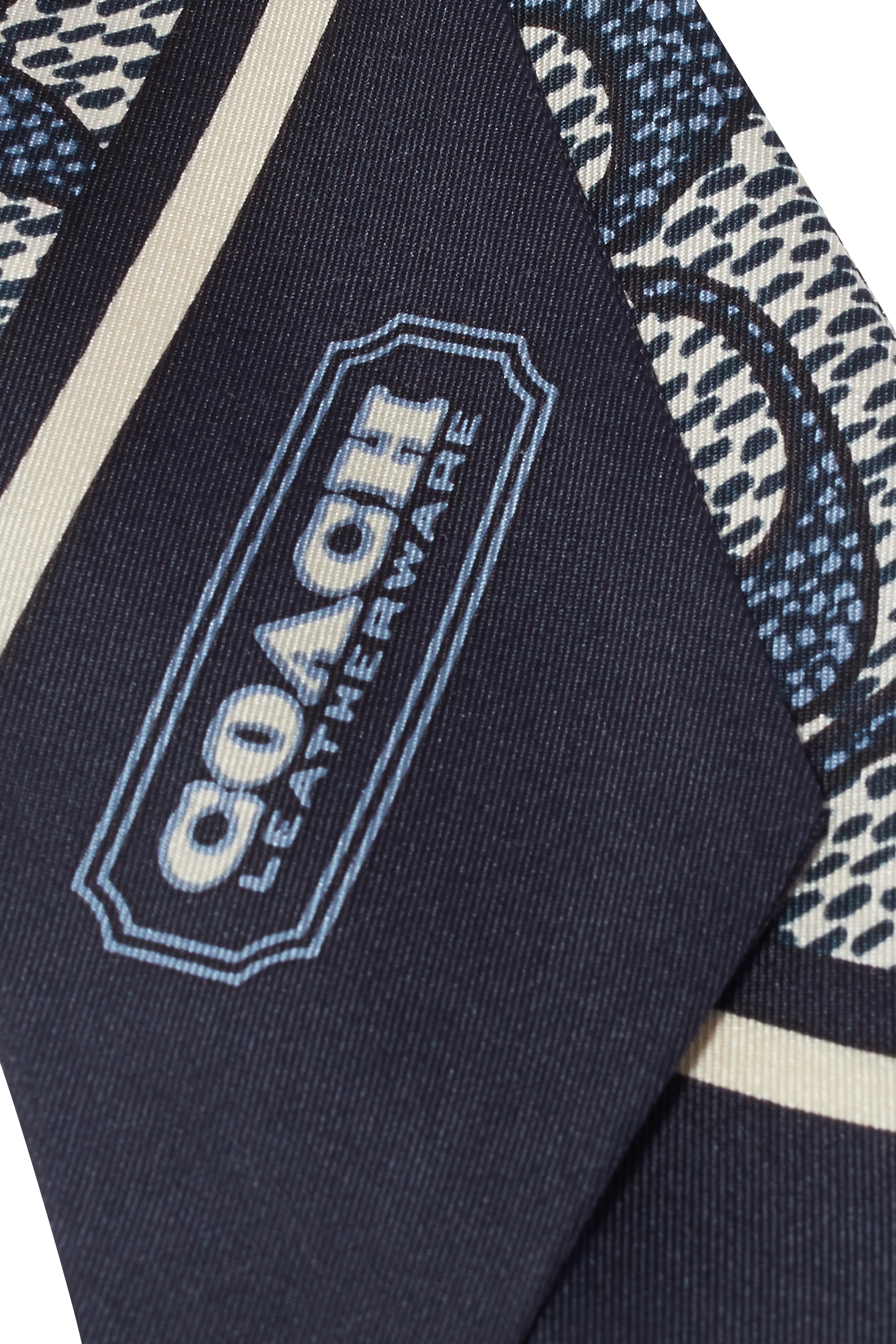 Vintage Signature C Printed Silk Skinny Scarf