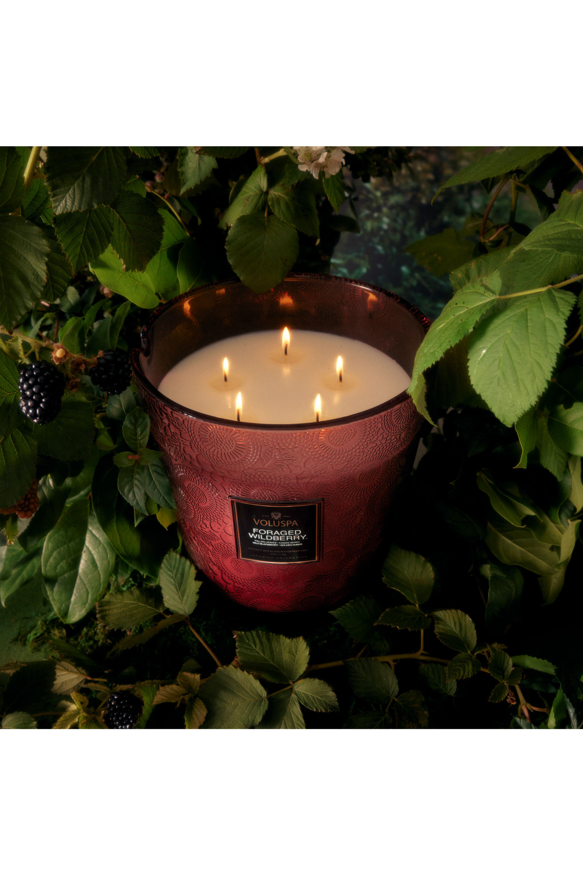 Foraged Wildberry Luxe Jar Candle