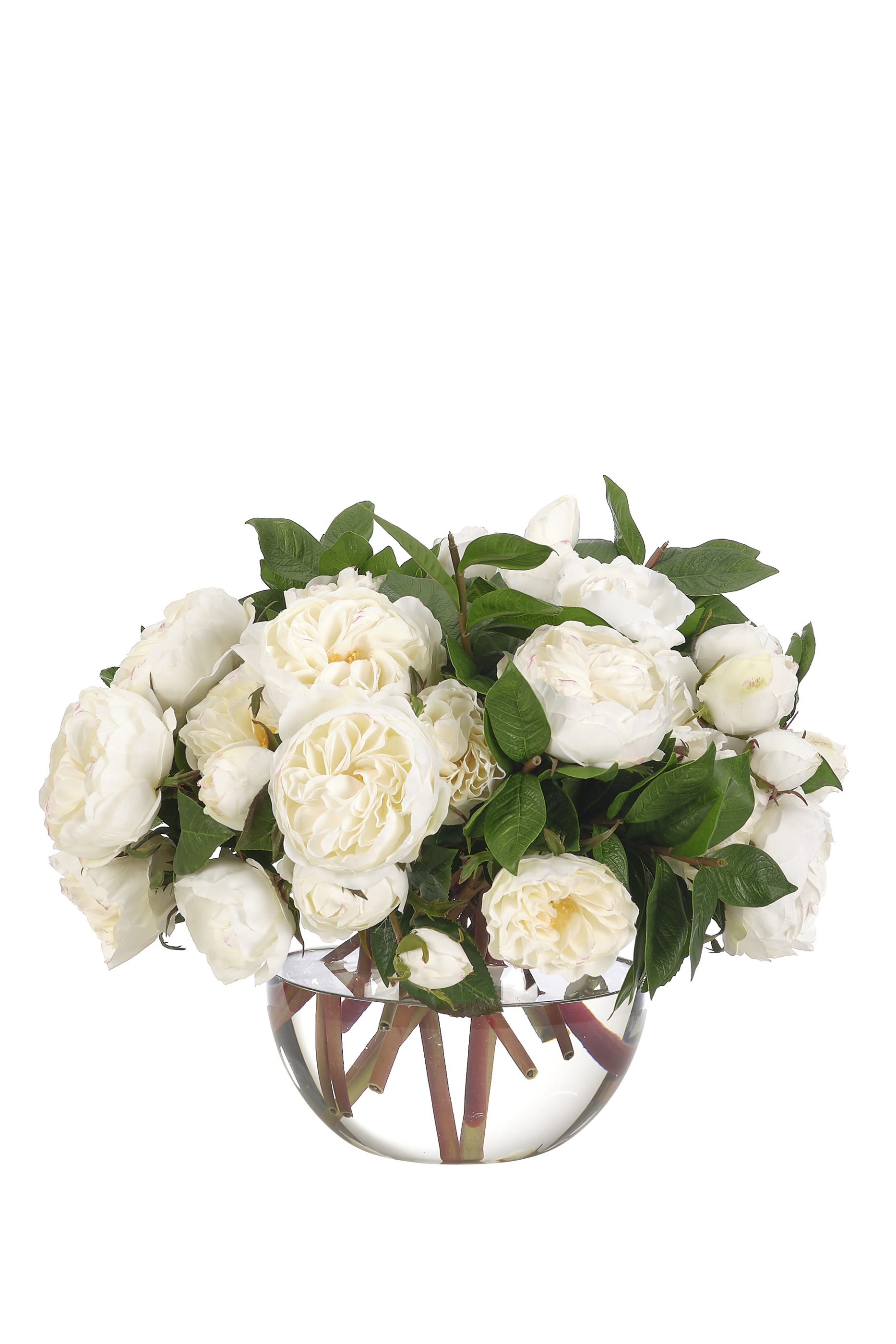 Rose in Glass Bubble Vase