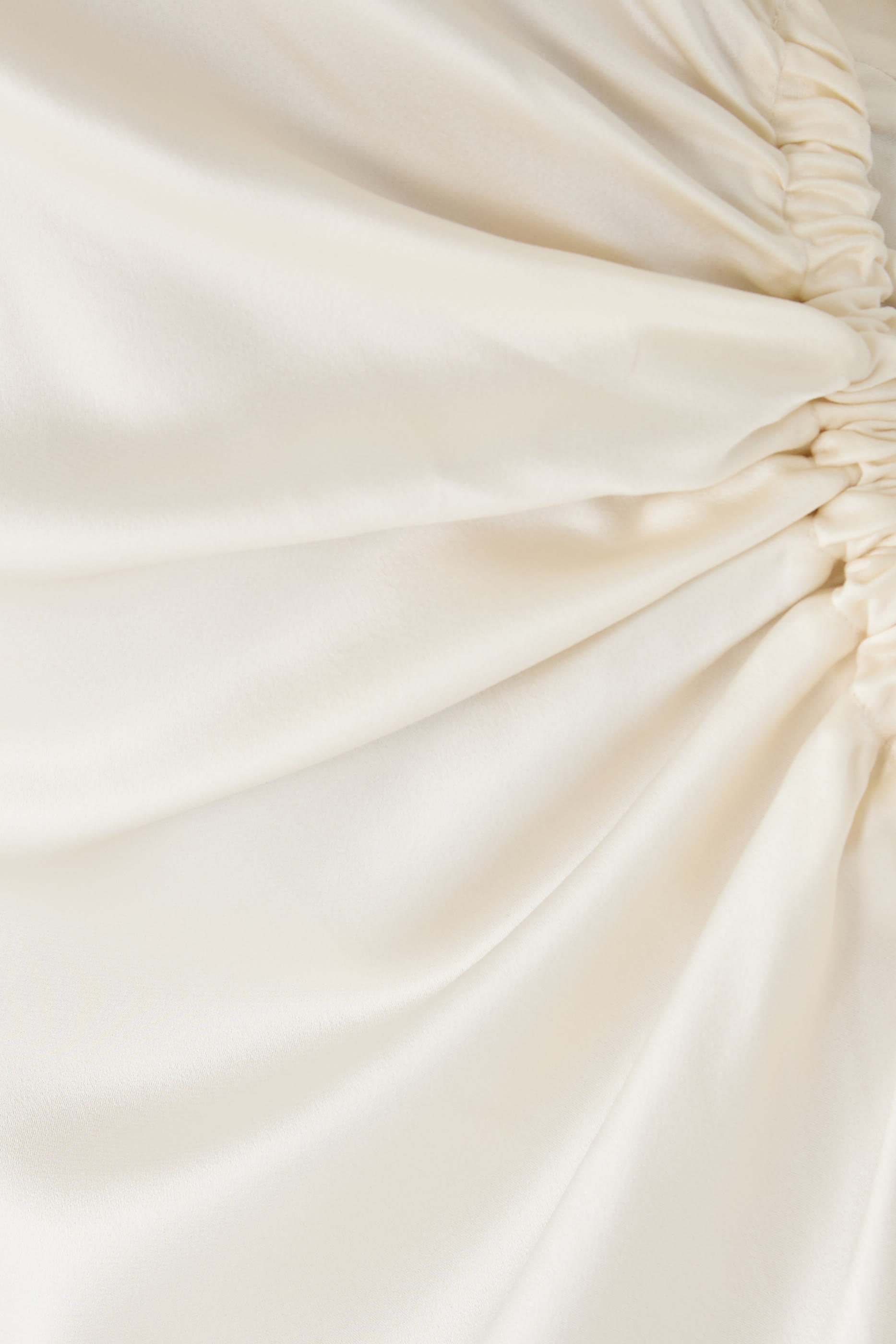 Feathered Sleeves Gown