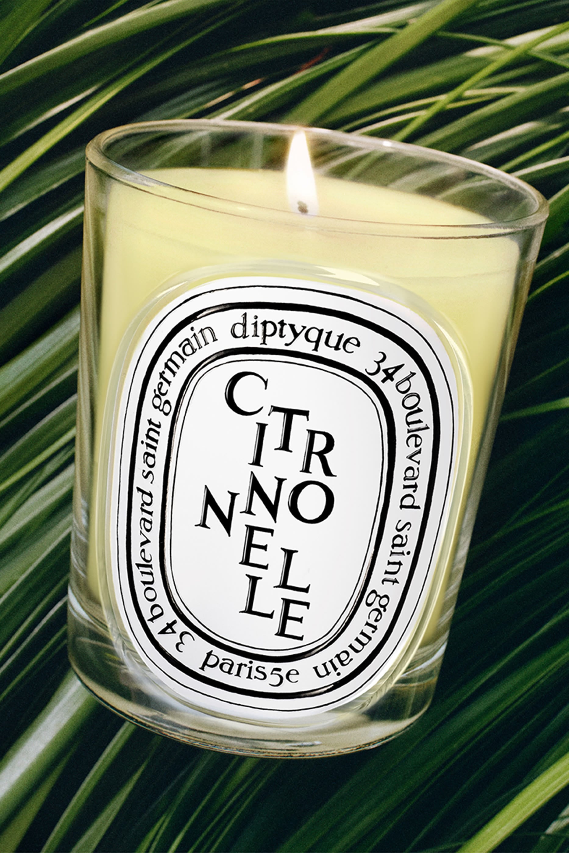 Citronnelle Classic Candle