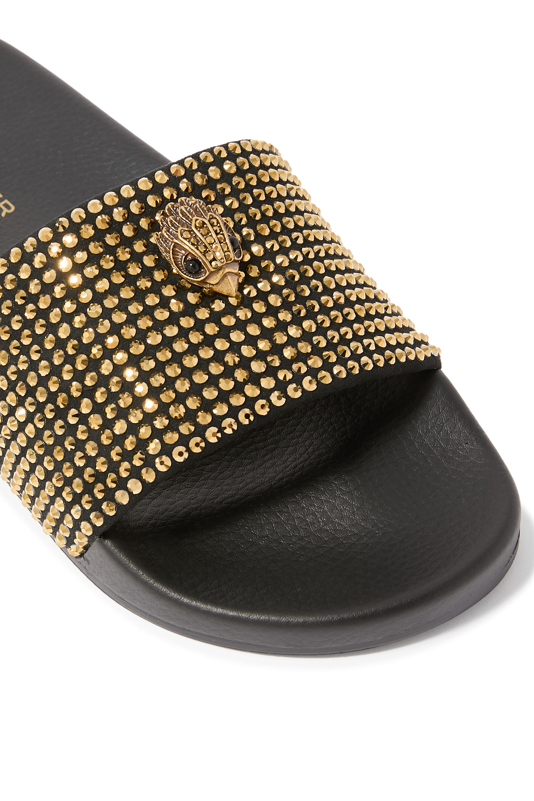 Meena Eagle Slide
