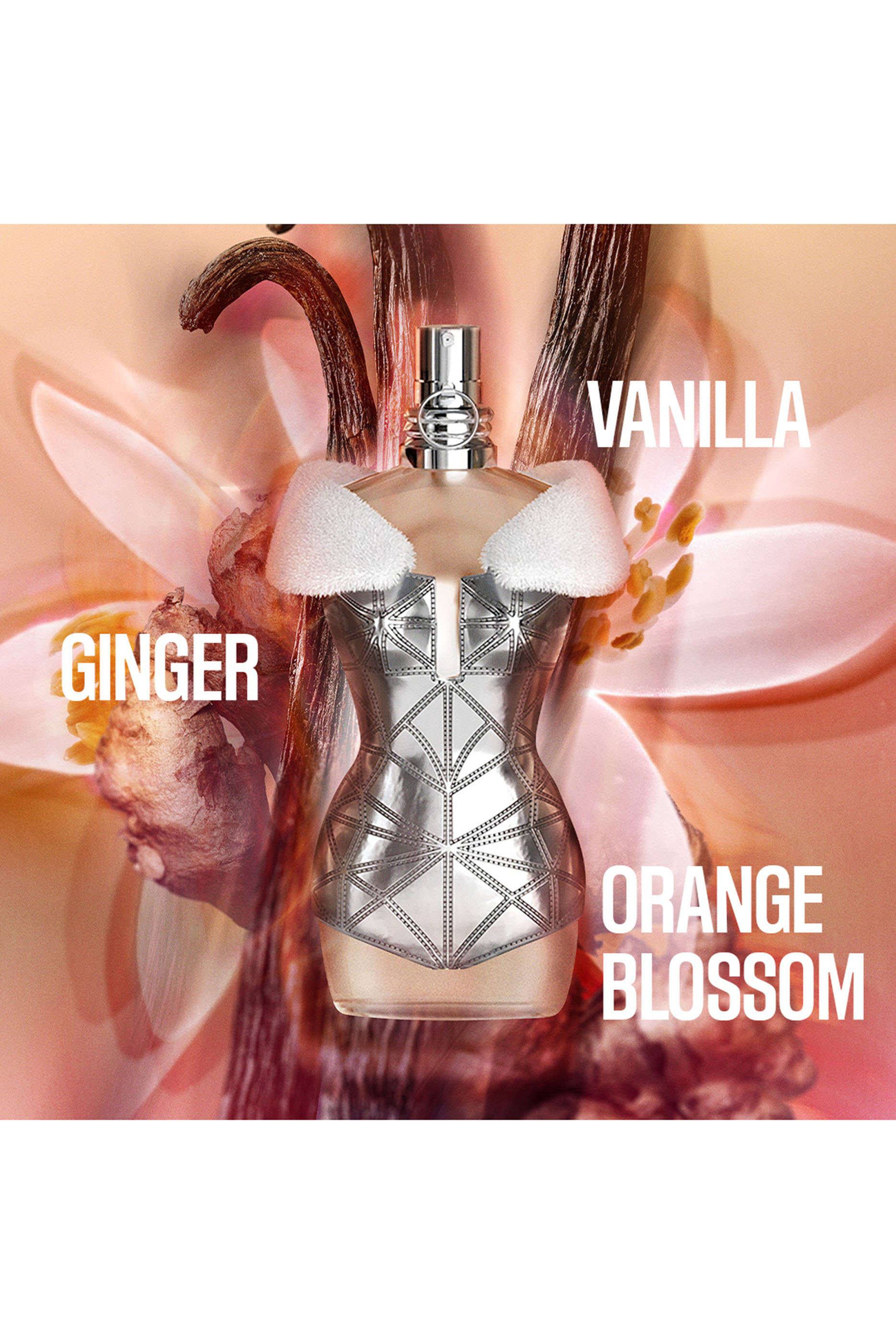 Classique Eau de Toilette Collector Edition