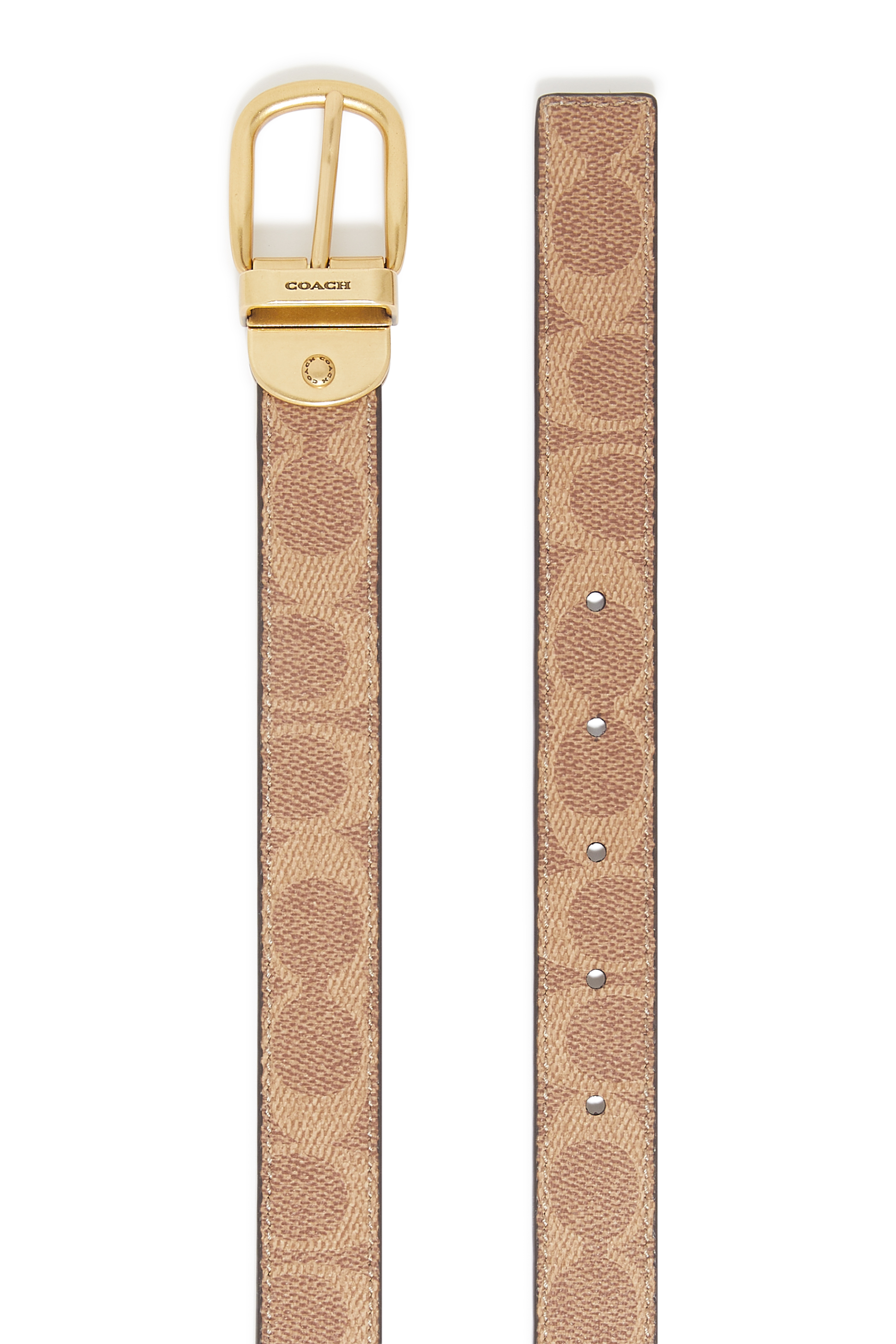 Reversible Harness Buckle Belt