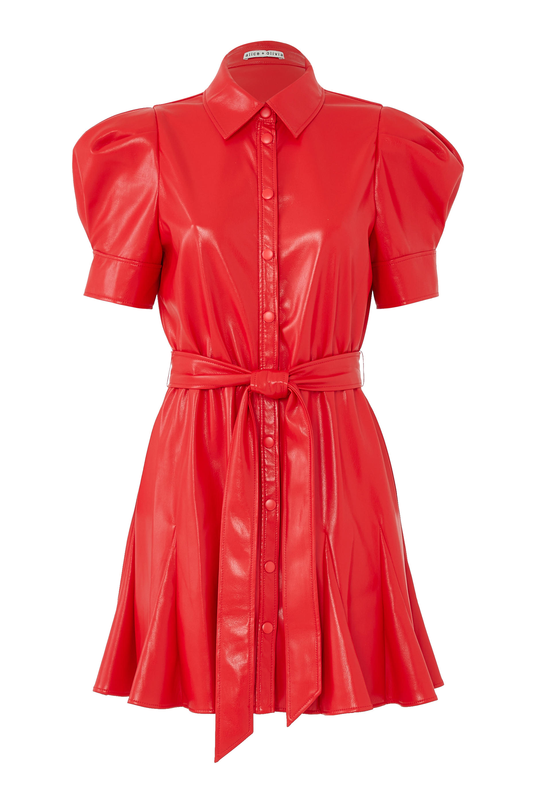 Lurlene Vegan Leather Mini Dress