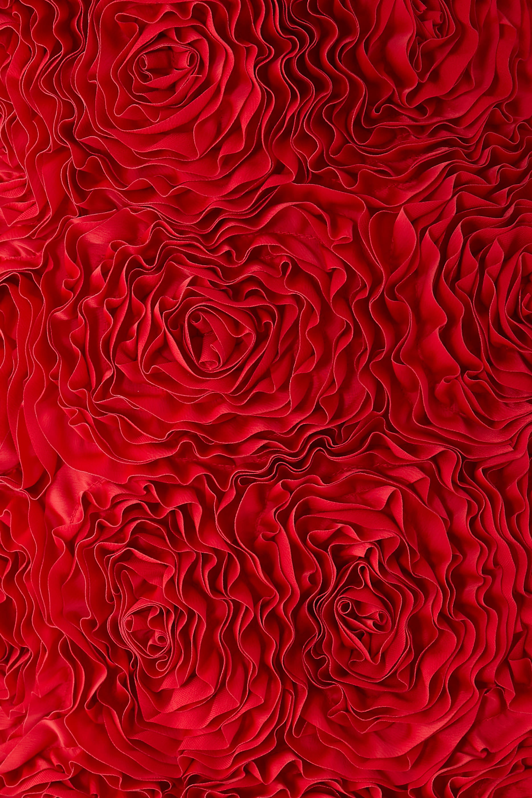 Gazer Rosette Mini Dress