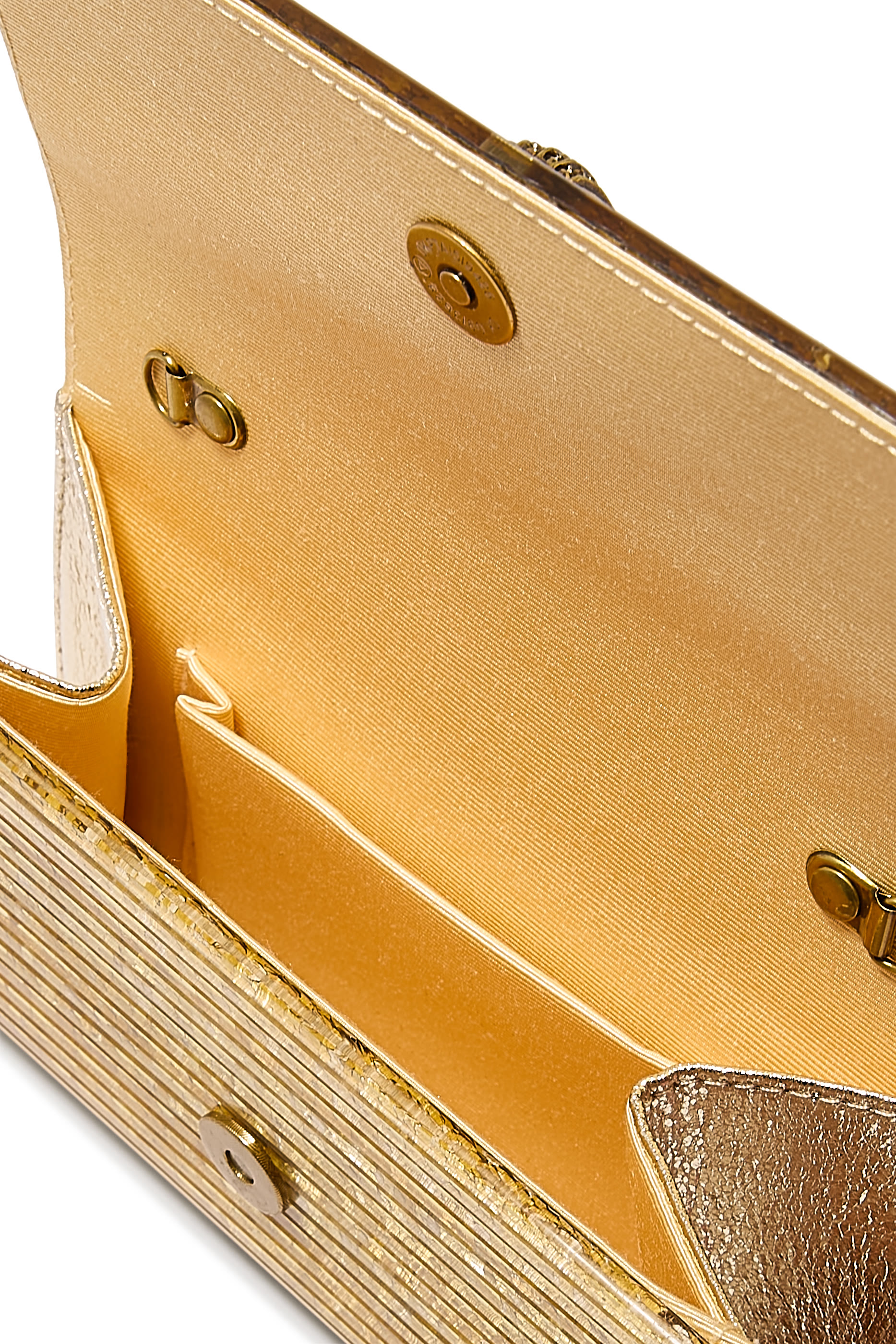 Party Eagle Plexi Envelope Clutch