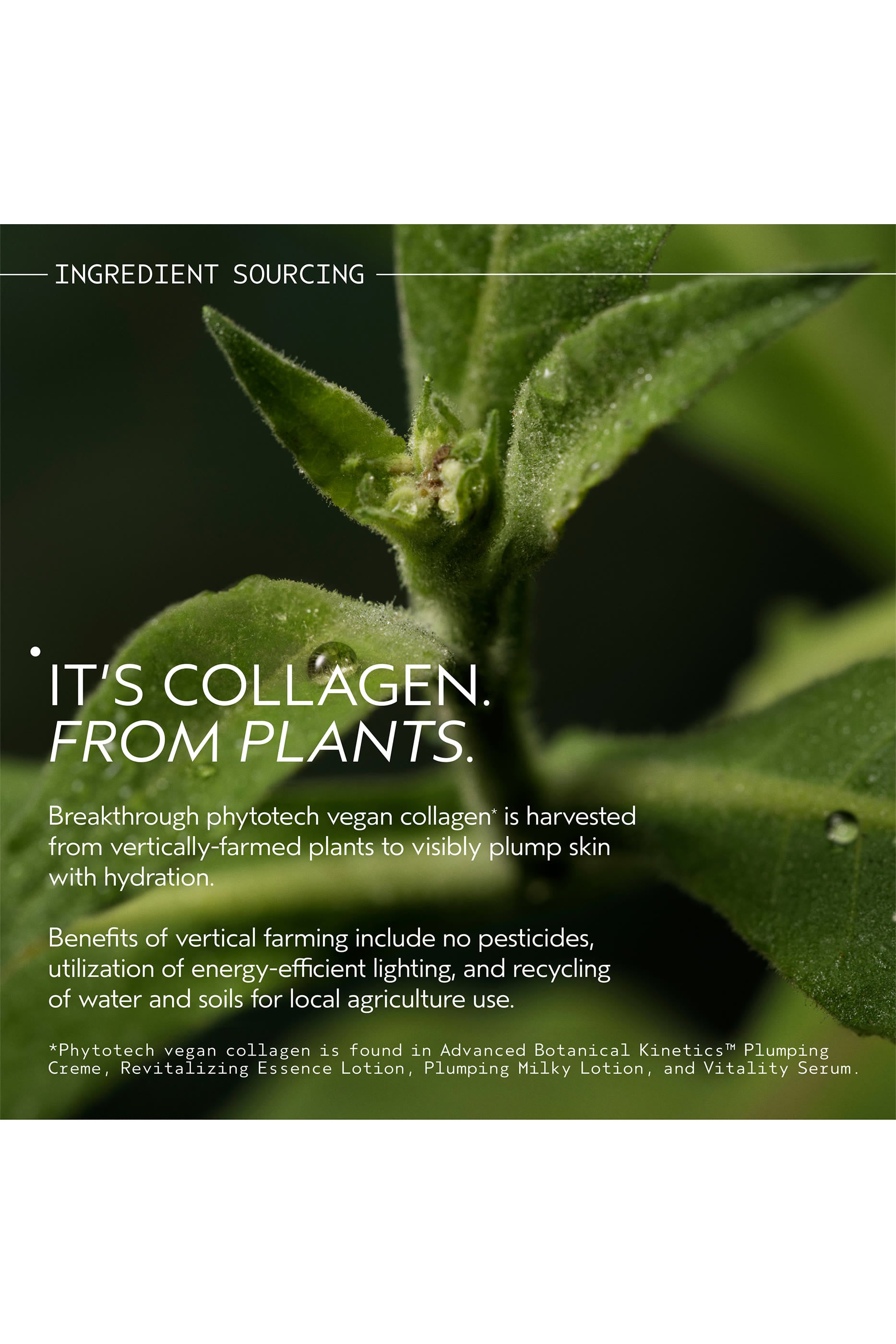 Advanced Botanical Kinetics&trade; Revitalizing Essence Lotion 