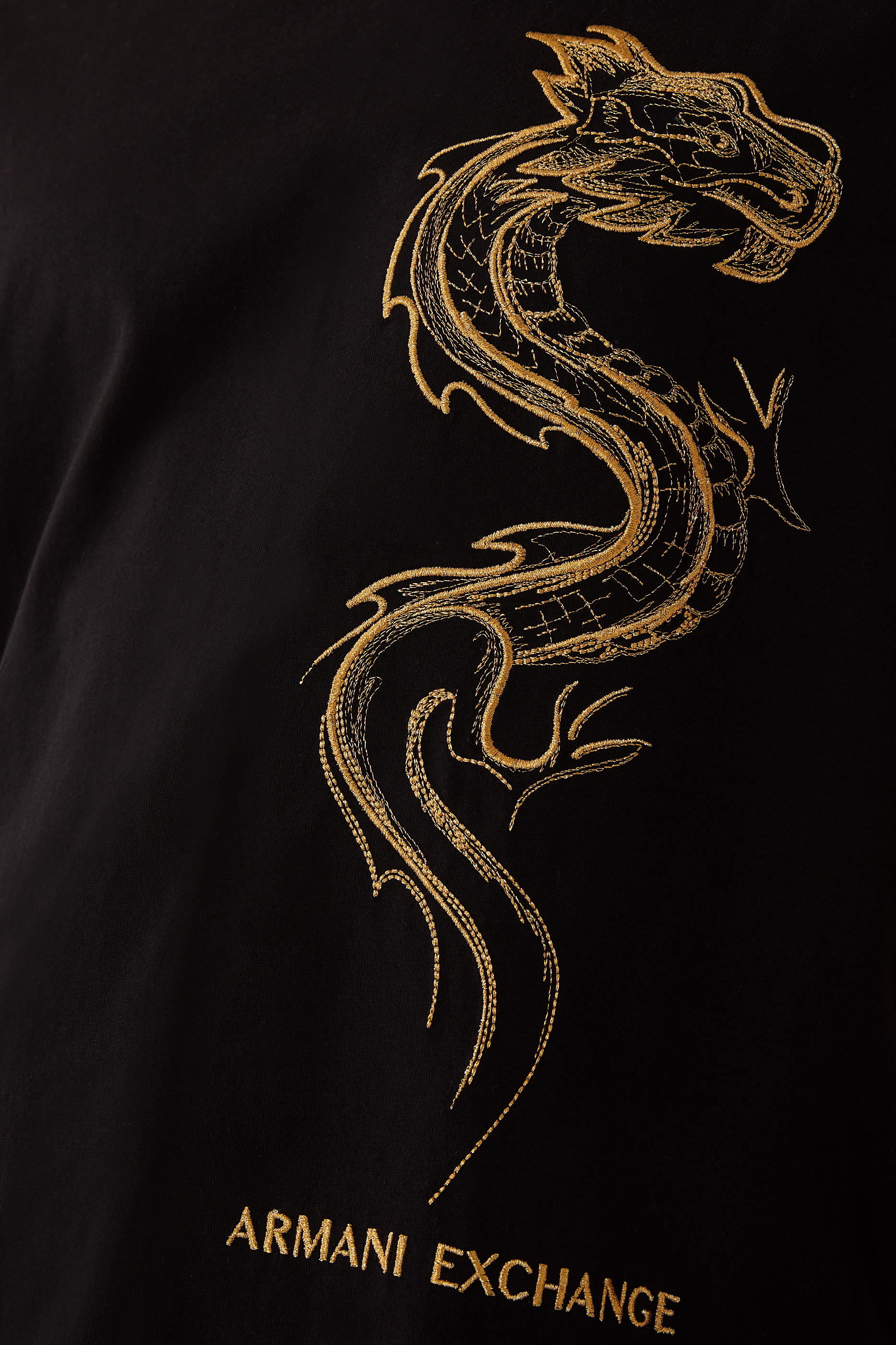 Dragon Print T-shirt