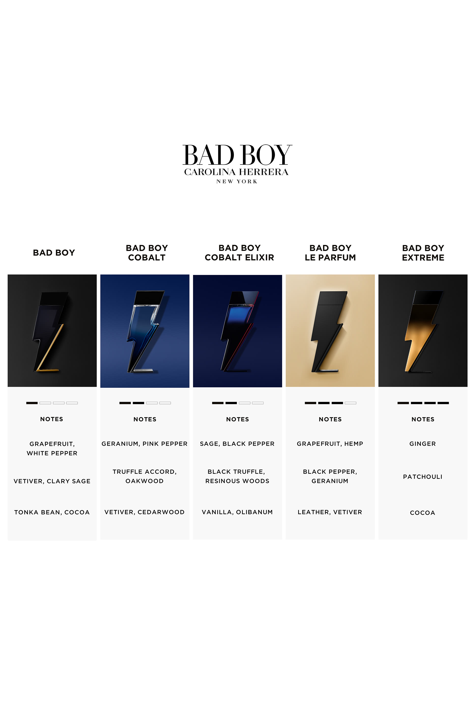 Bad Boy Cobalt Elixir