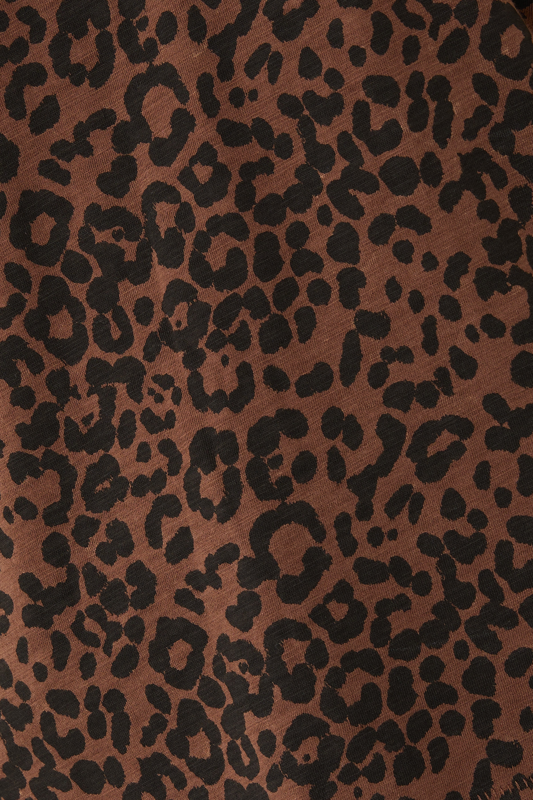 Leopard-Print Cotton T-Shirt