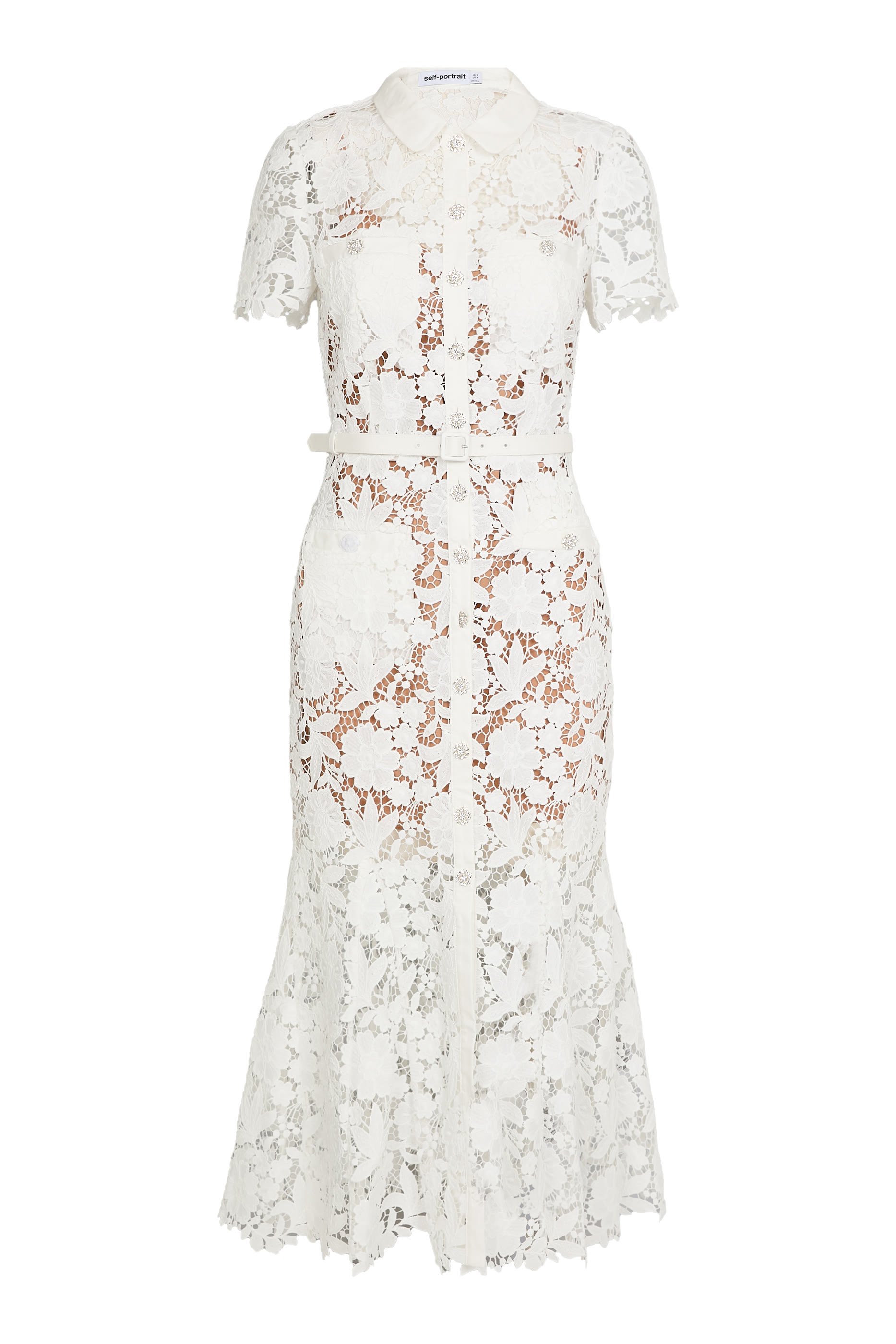 Lace Collared Midi Dress