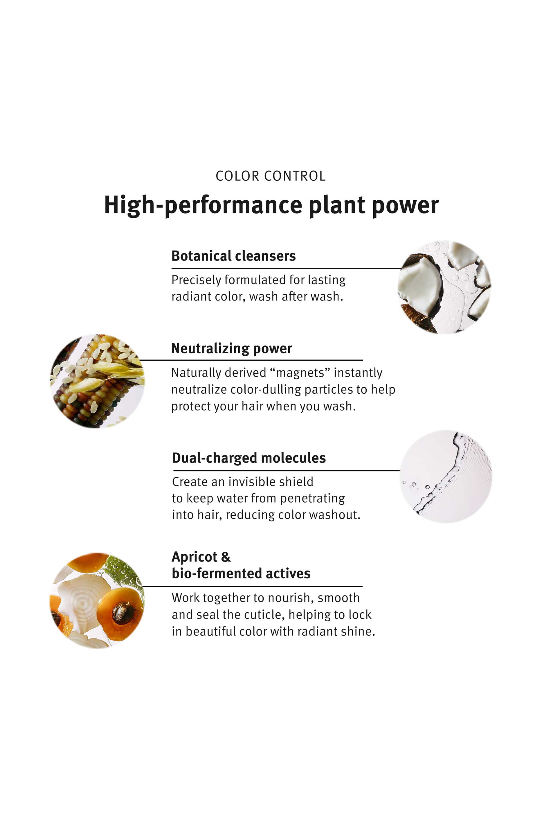 Color Control Conditioner