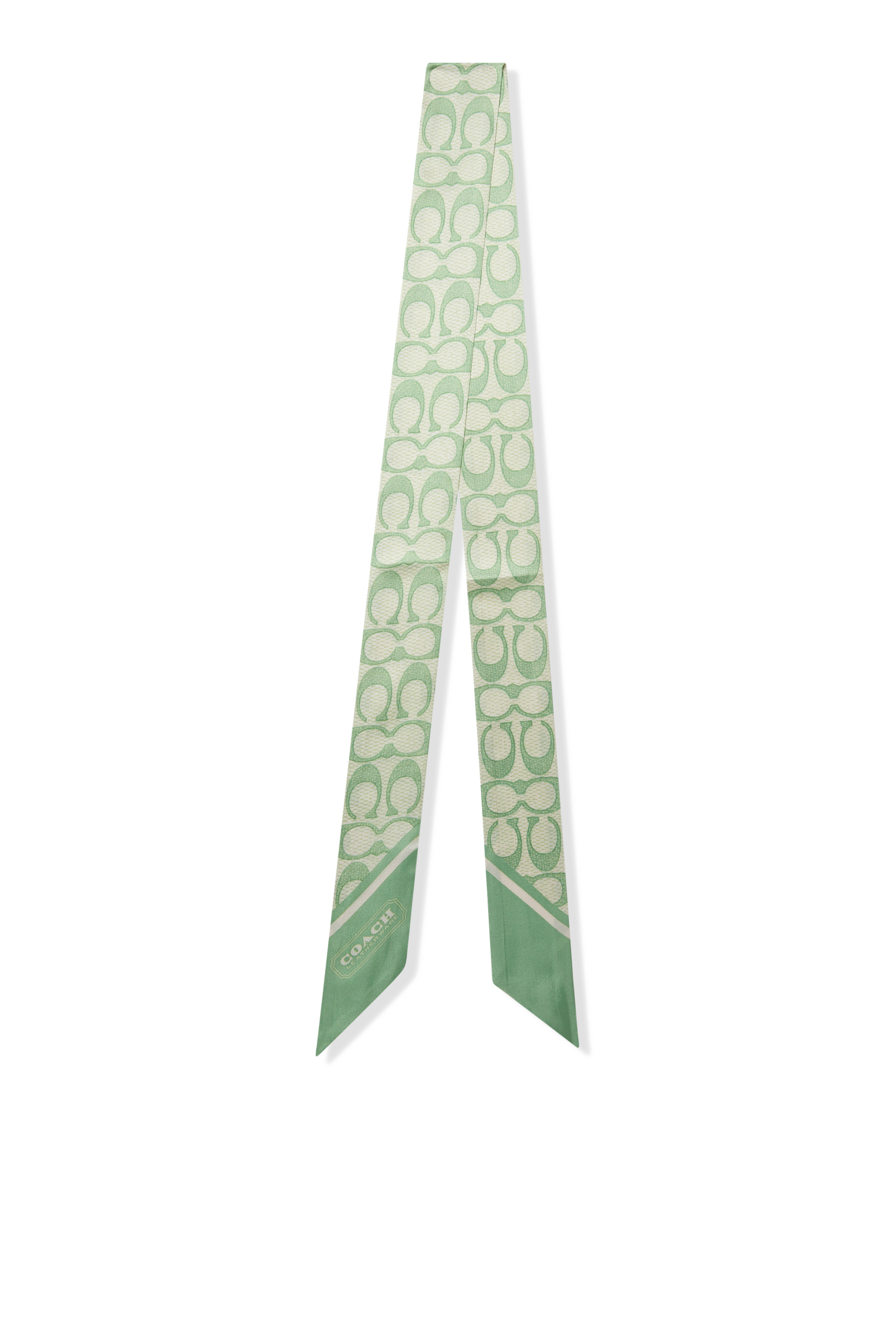 Vintage Signature C Printed Silk Skinny Scarf