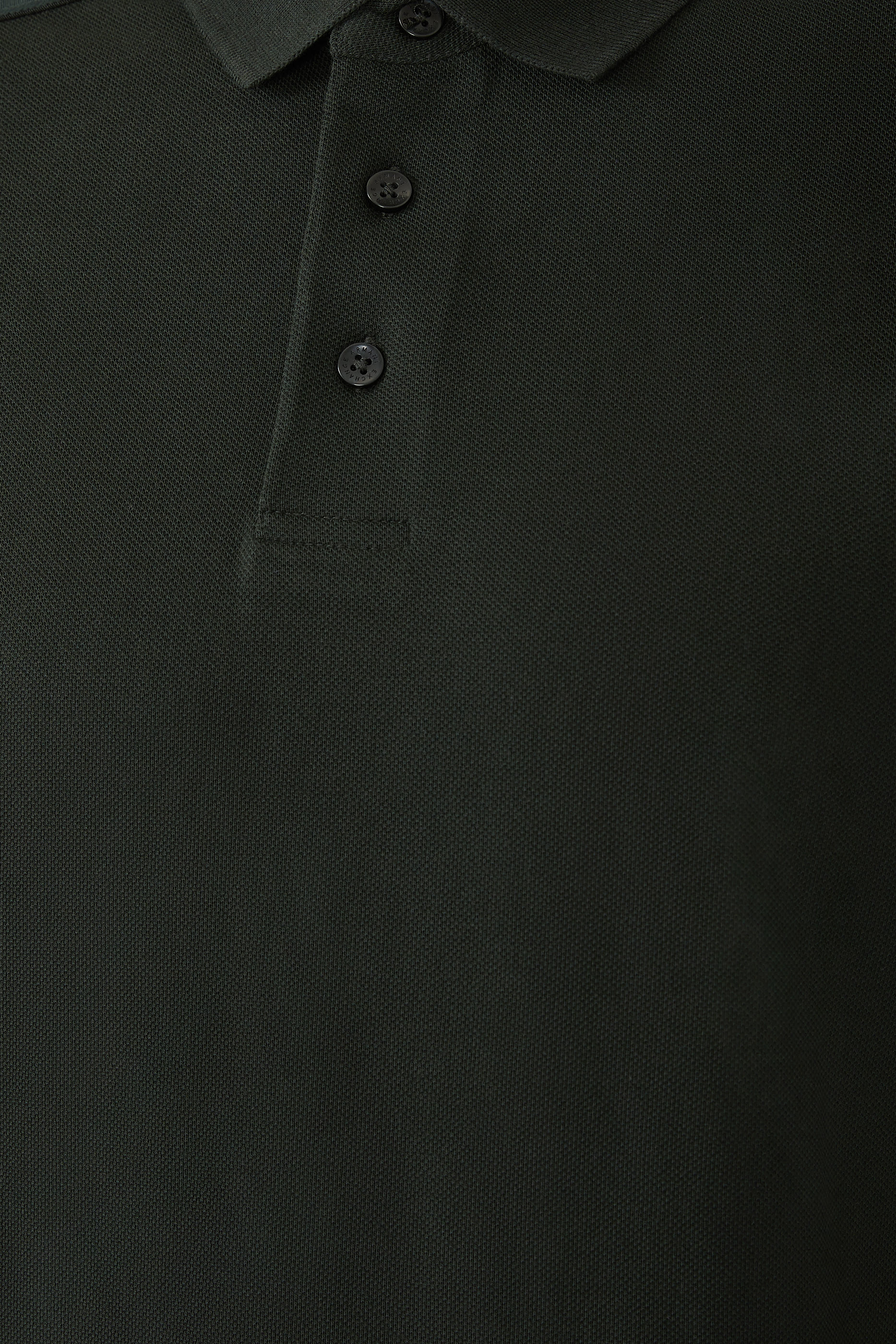 Regular Fit Polo Shirt