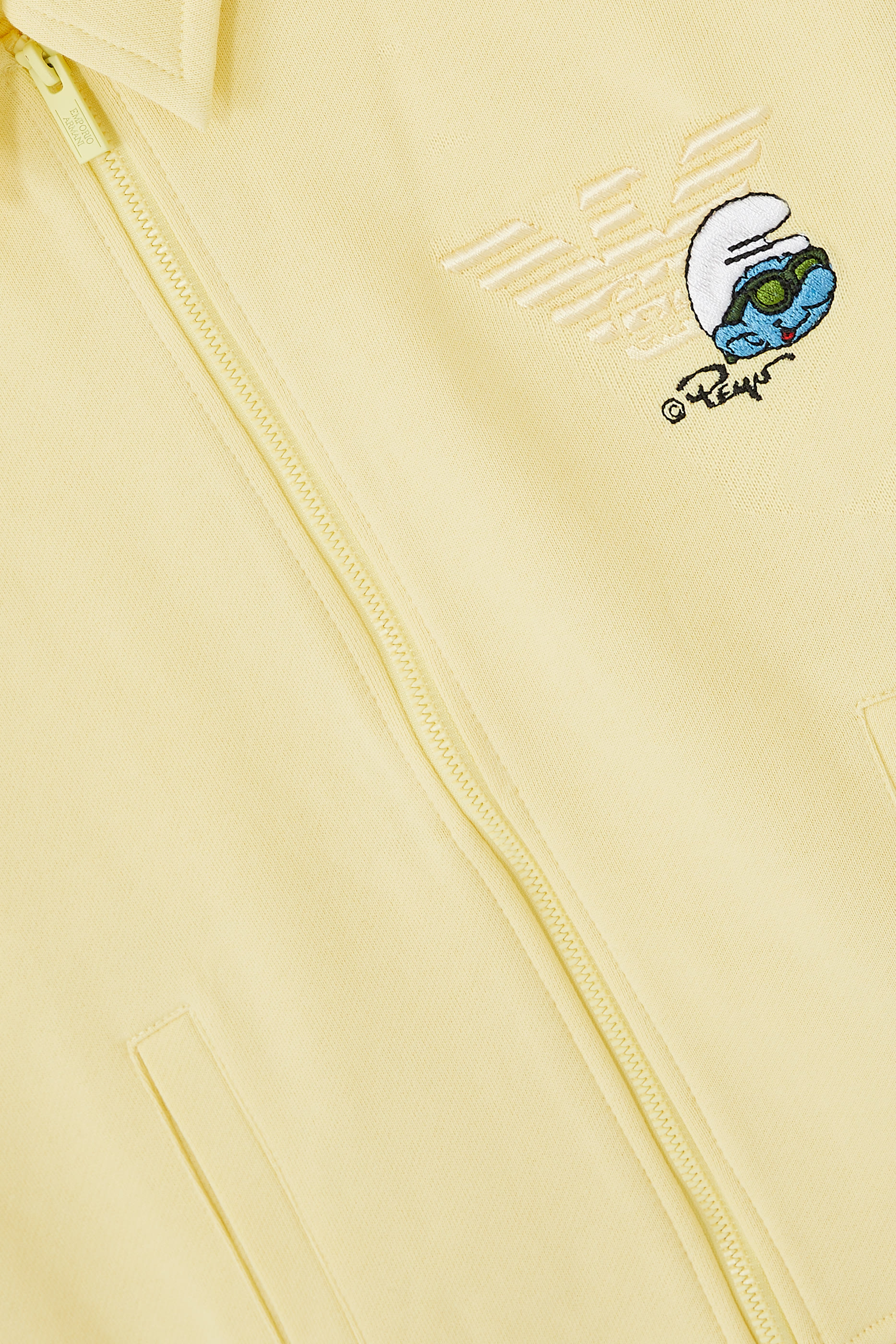 Kids Embroidered Eagle Logo Zip Sweatshirt