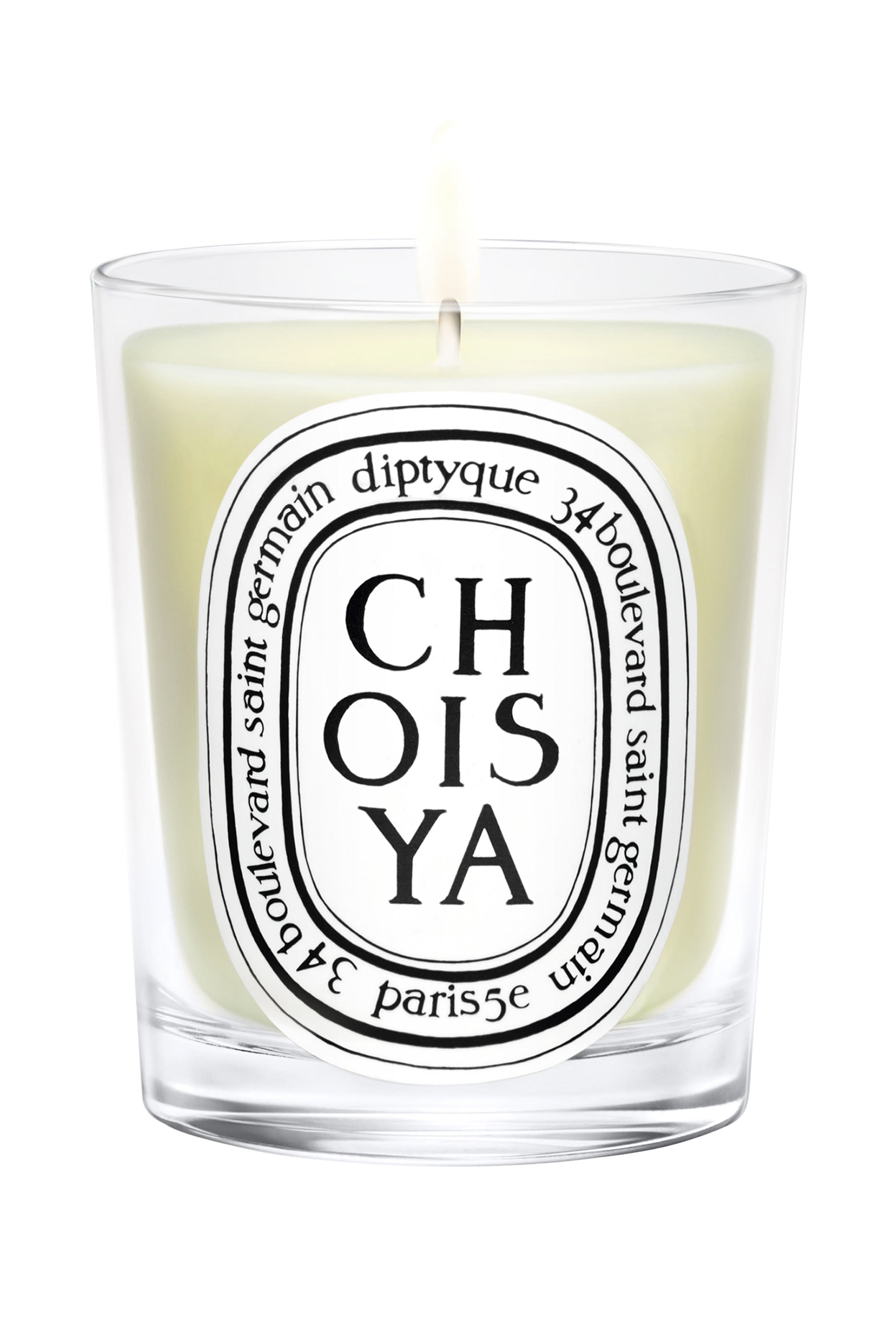 Choisya Candle