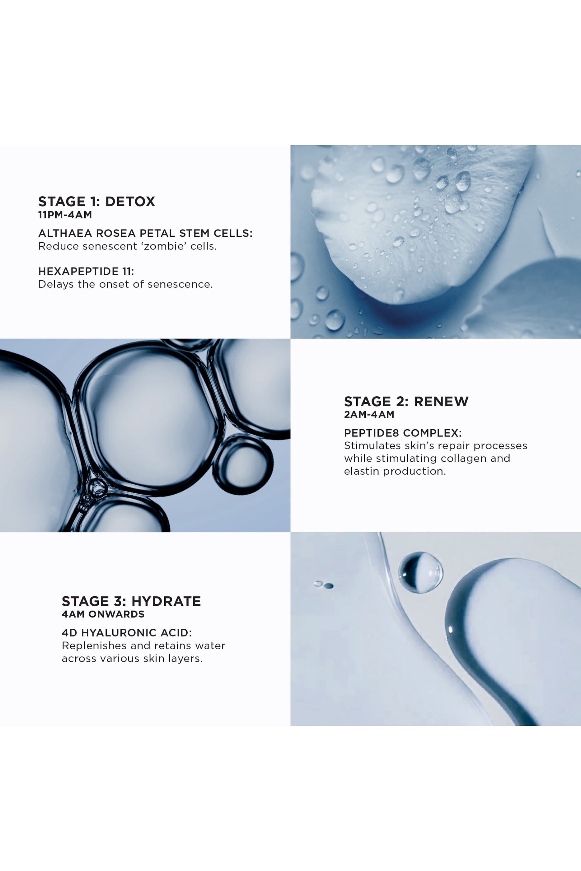 The Absolute Peptide8 Night Serum 