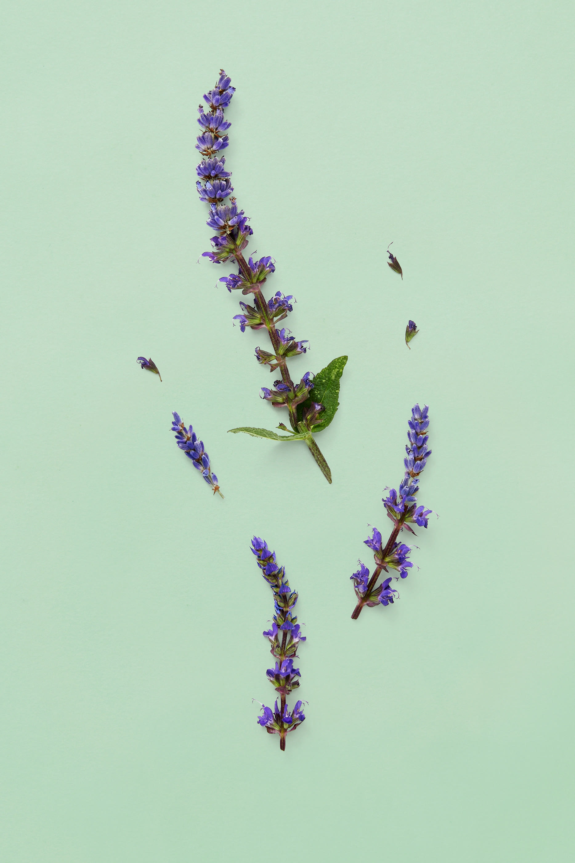 Guilty Parfum Pour Homme