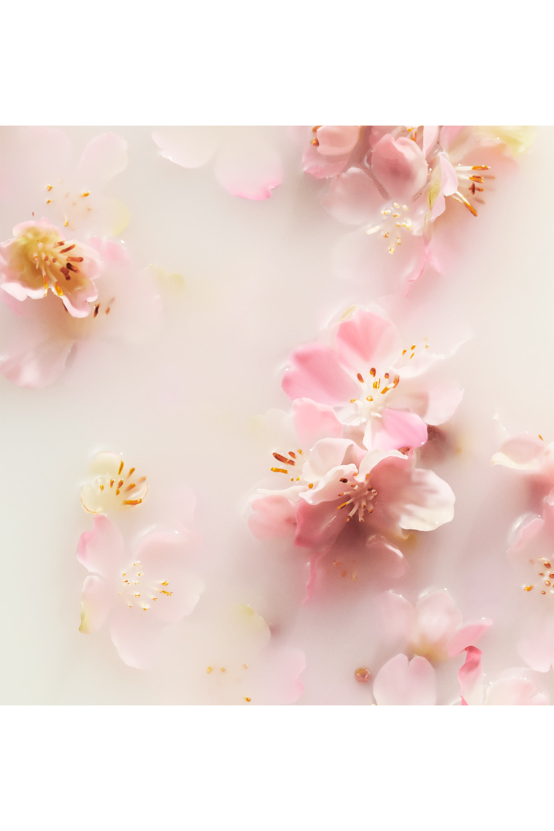 Sakura Scented Candle