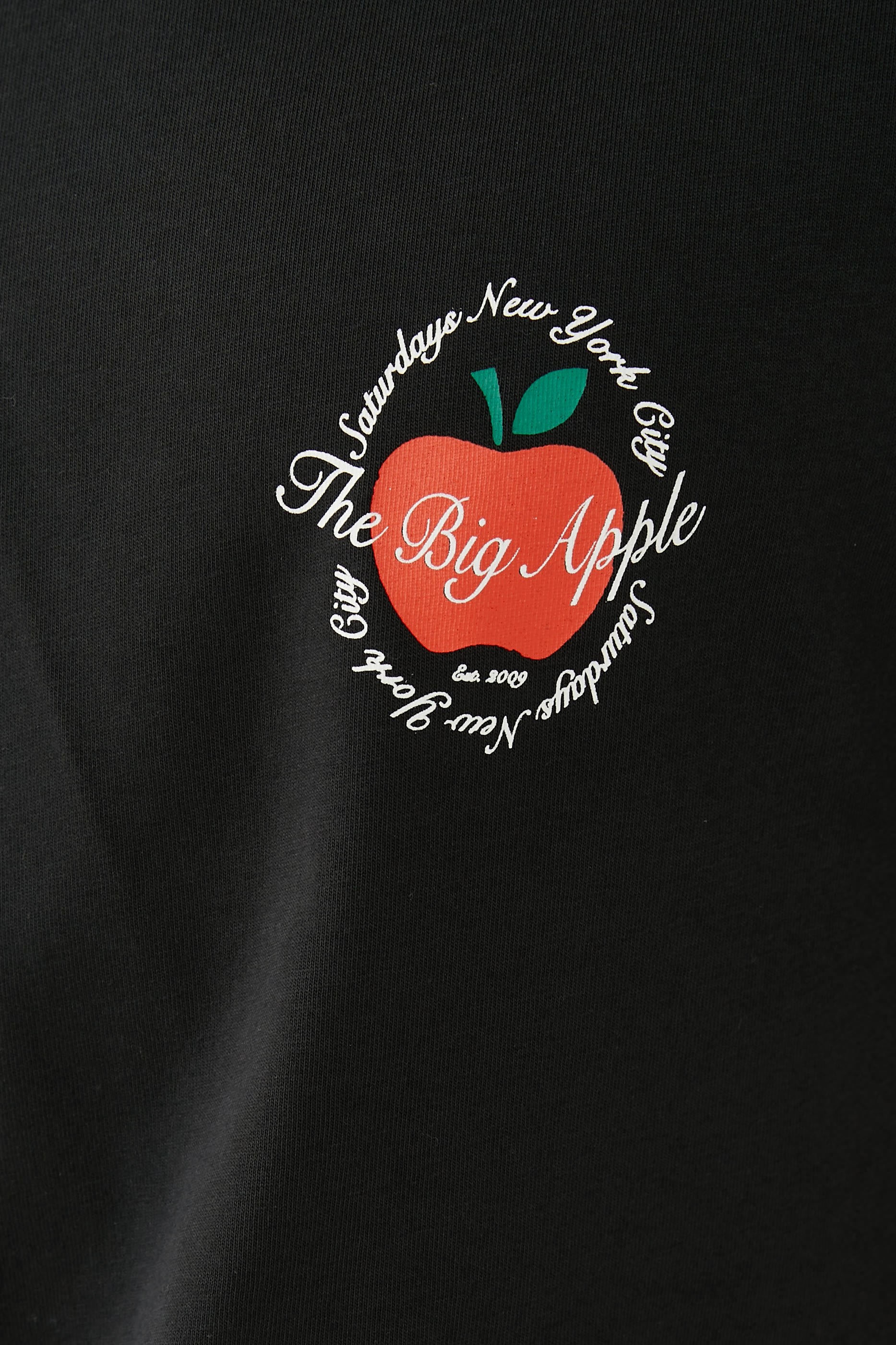 The Big Apple Standard Cotton Graphic T-Shirt