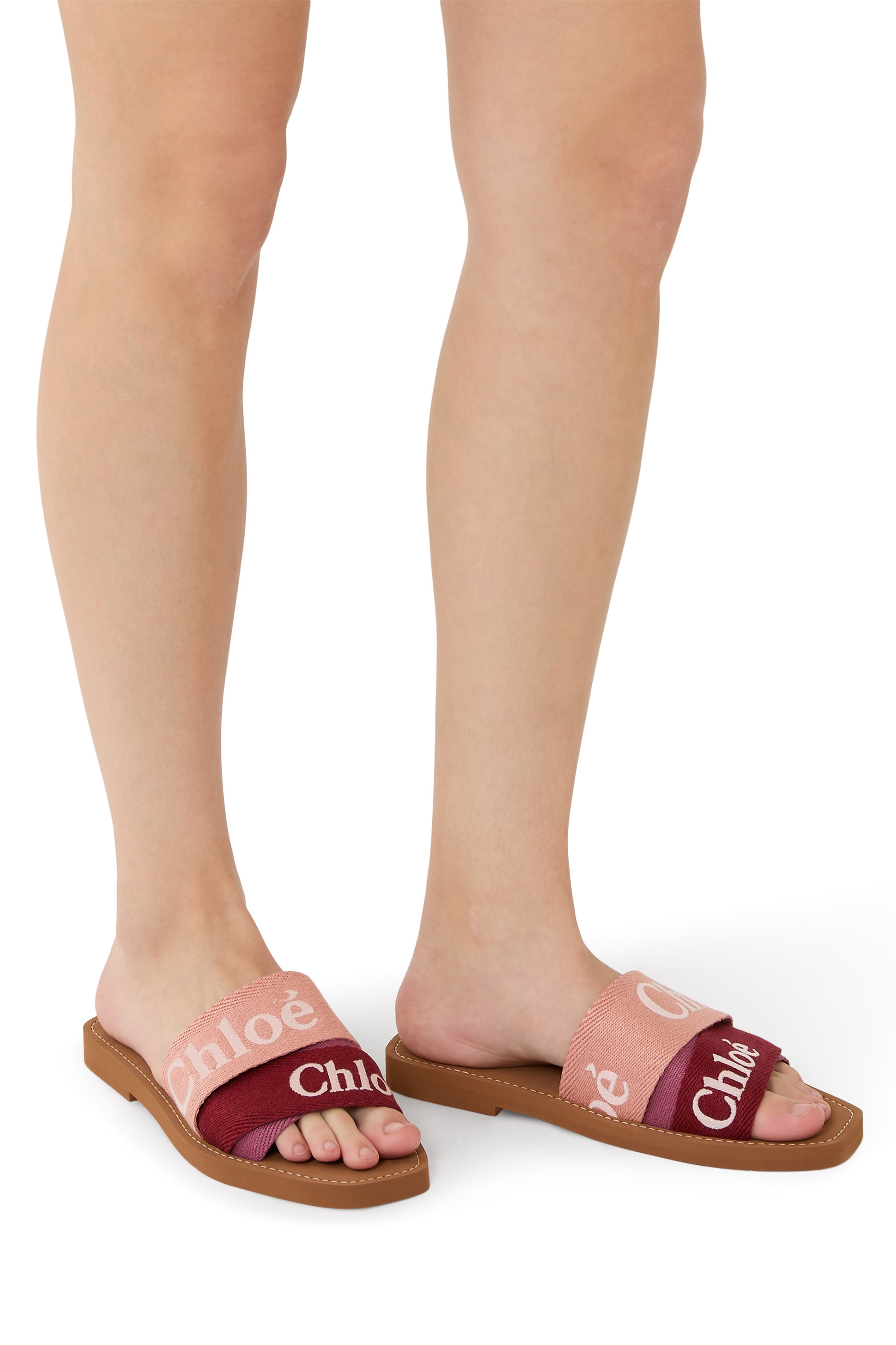 Woody Logo Canvas Slides