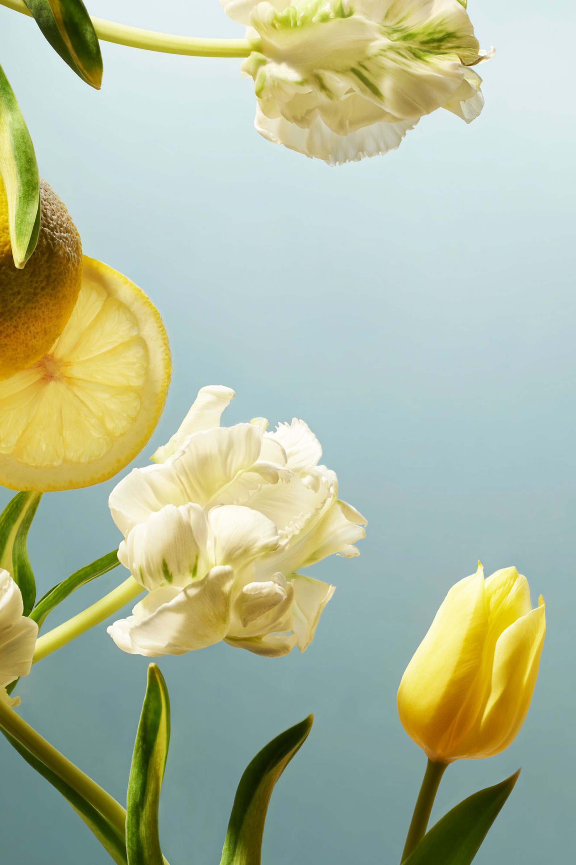 Amsterdam Collection Fragrance Sticks