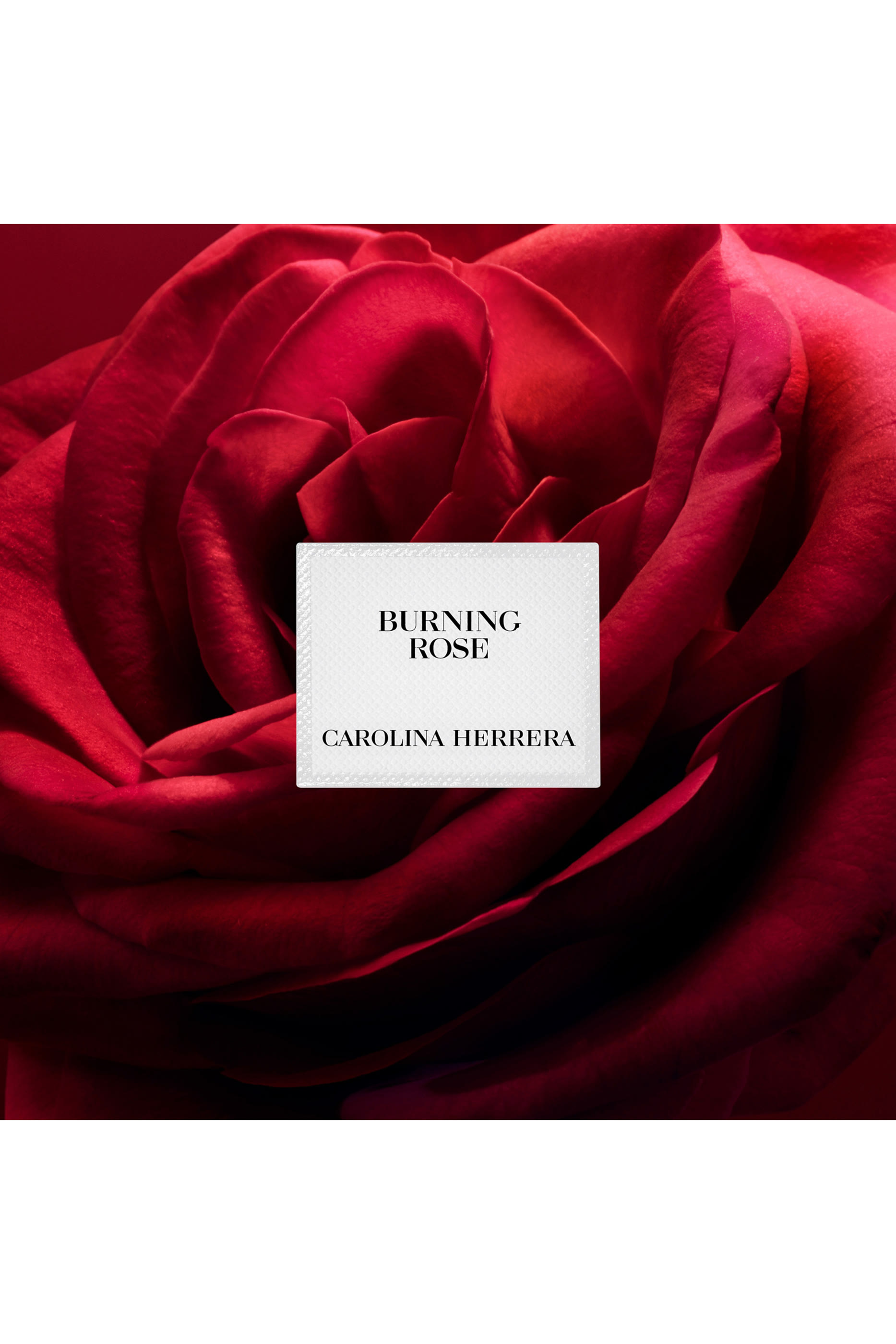 Herrera Confidential Burning Rose Eau de Parfum