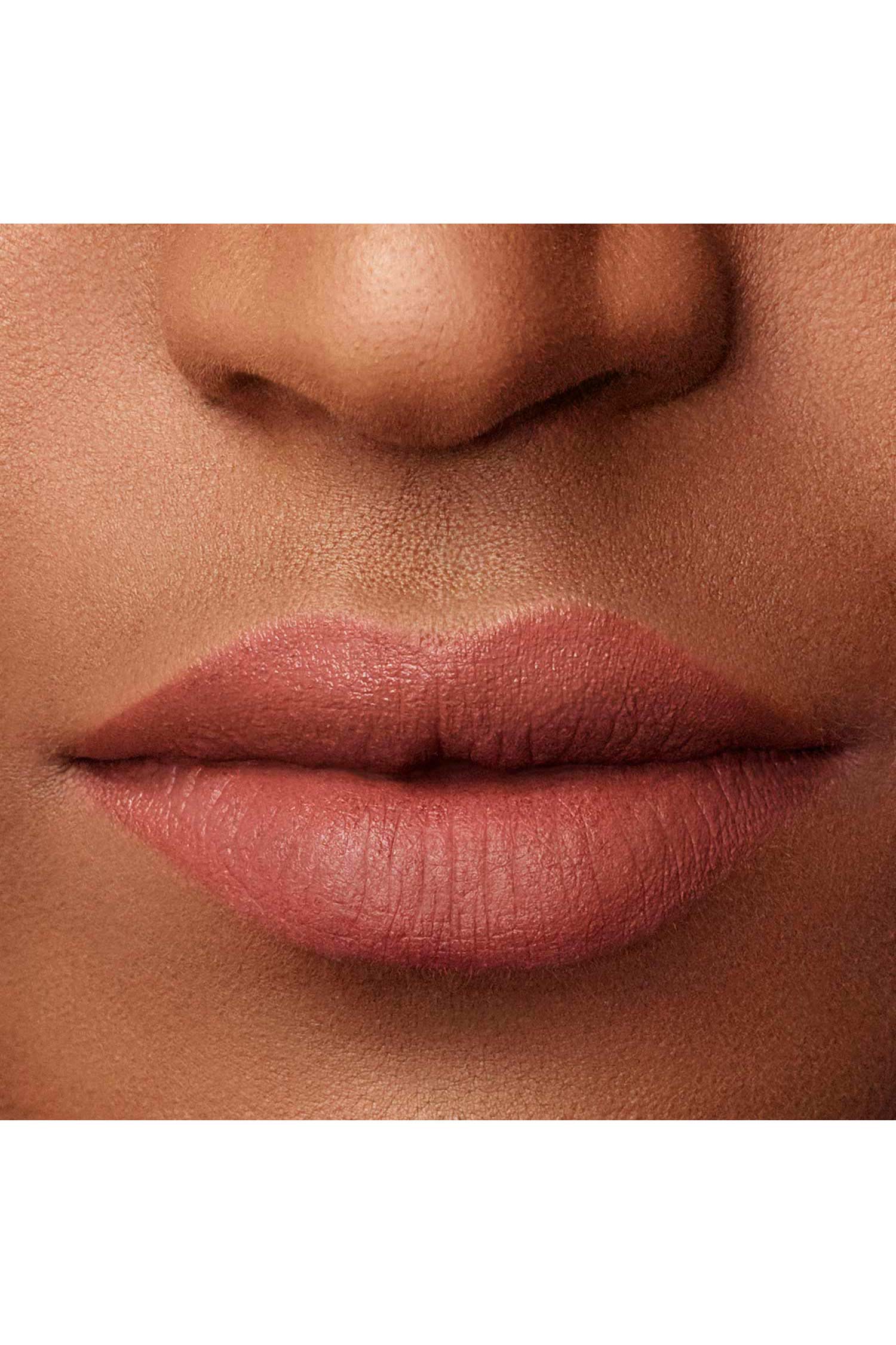 Lip Maestro 300 Liquid Lipstick