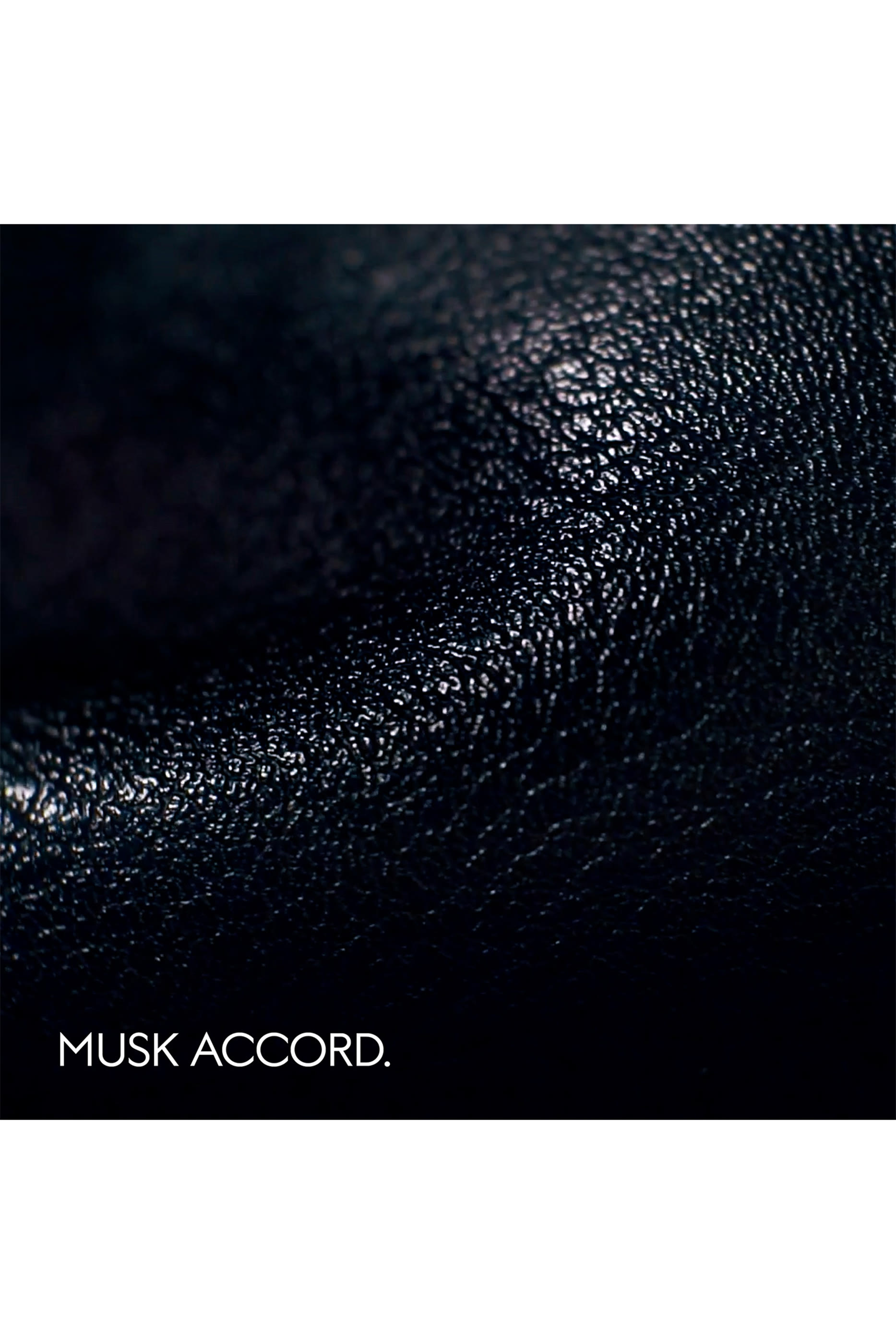 The Alchemist’s Garden, Muschio Mineralis Eau de Parfum 