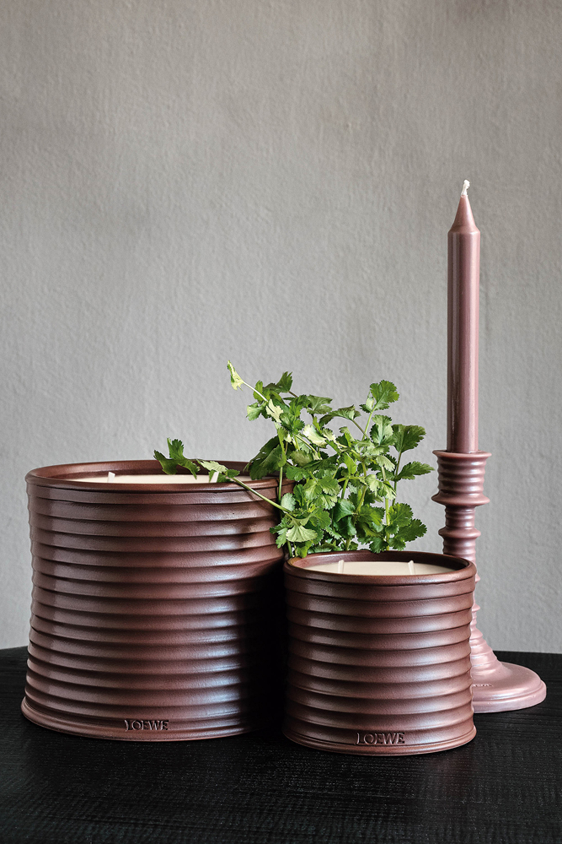 Juniper Berry Scented Candle