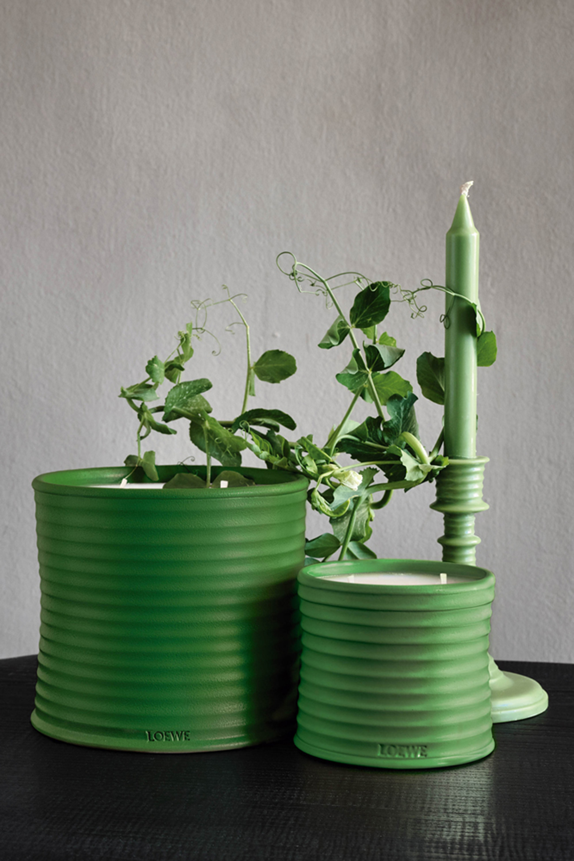 Luscious Pea Scented Candle