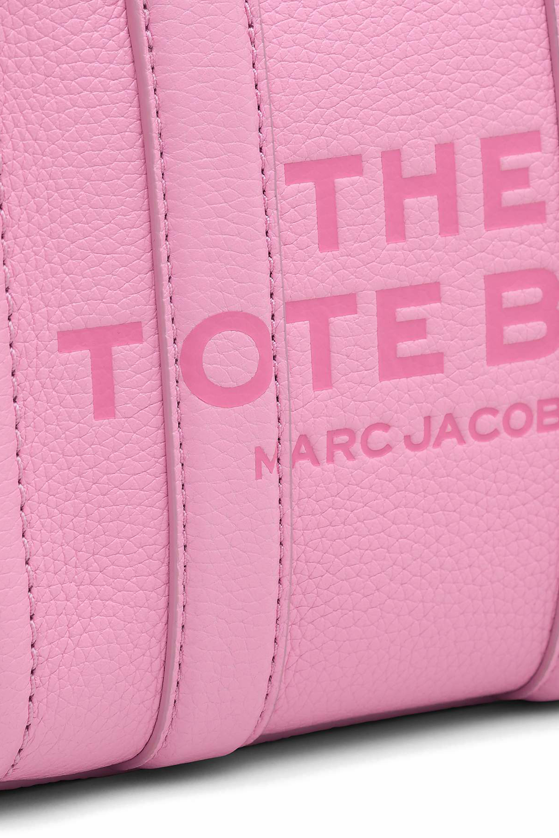 The Mini Tote Leather Bag