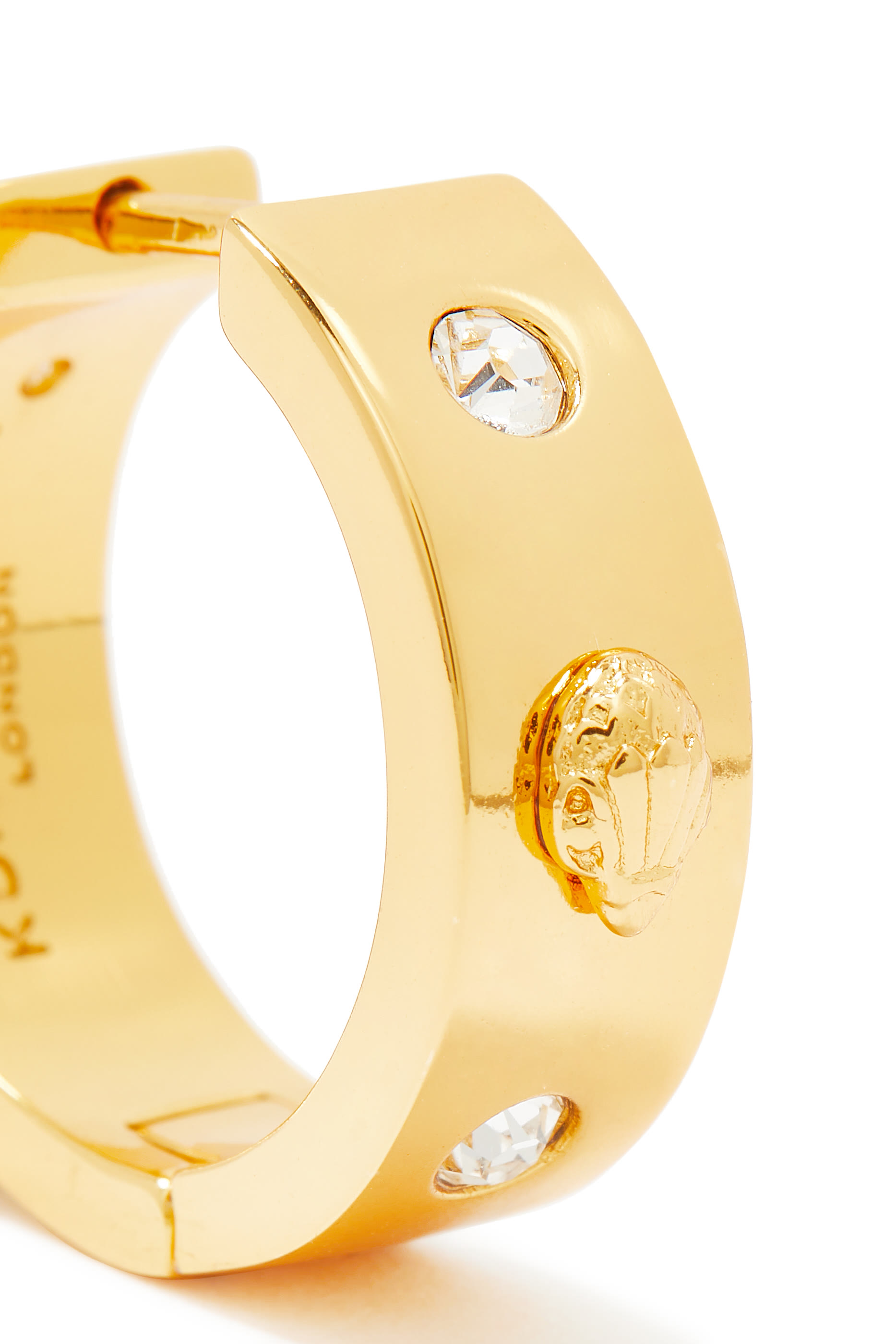 Eagle Hoop Metal Earrings