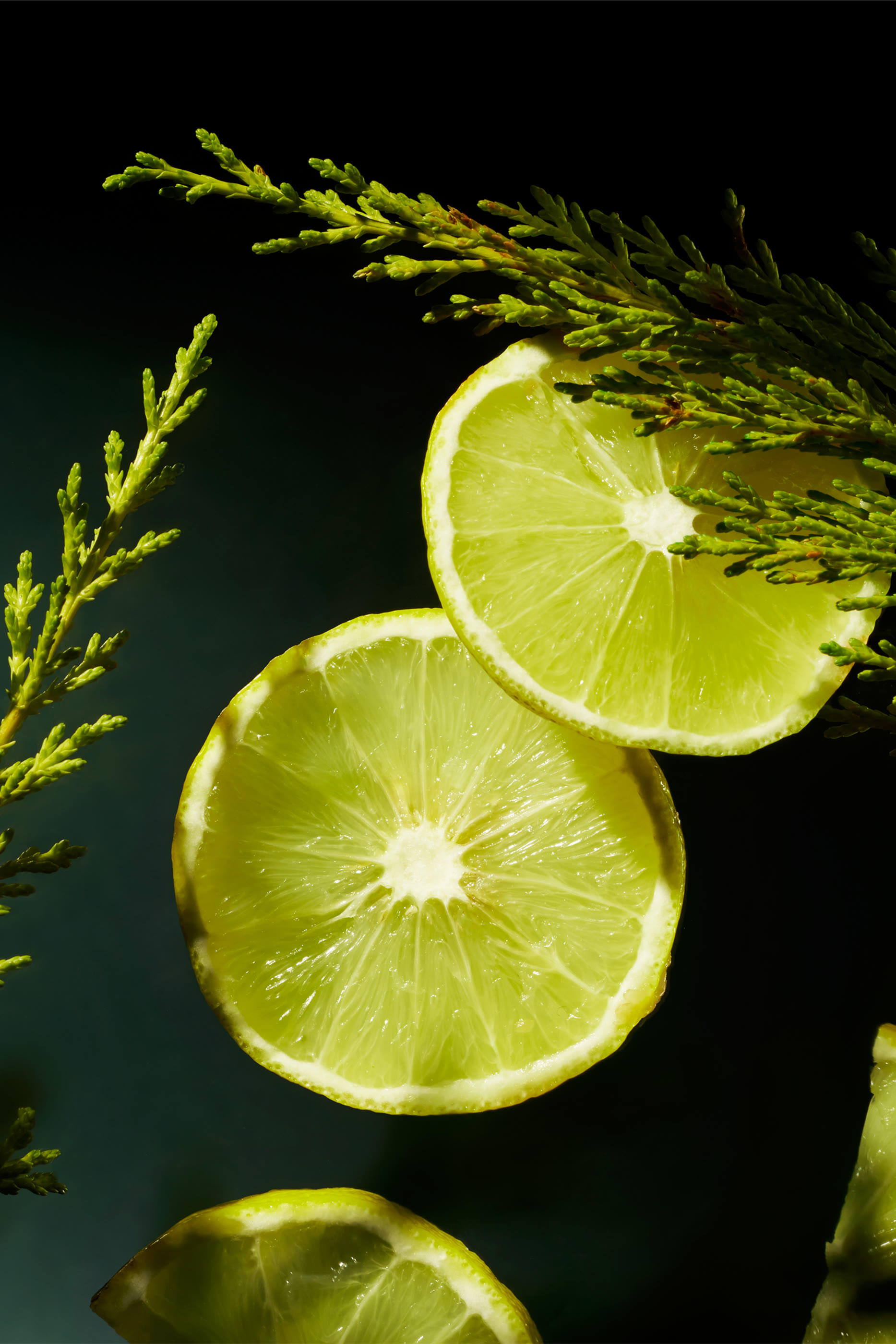 Homme Medium Gift Set