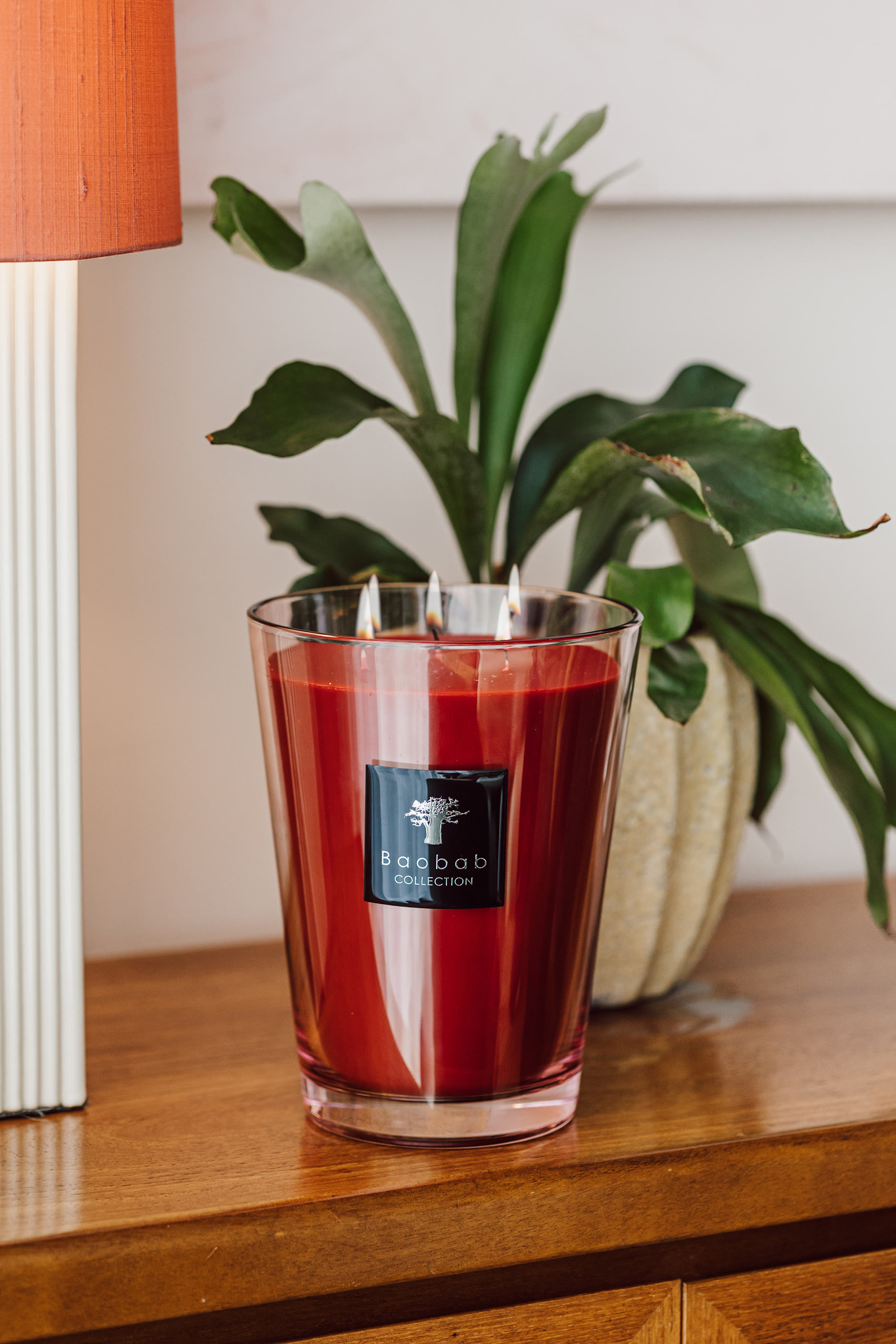 Max 24 Maasa&iuml; Spirit