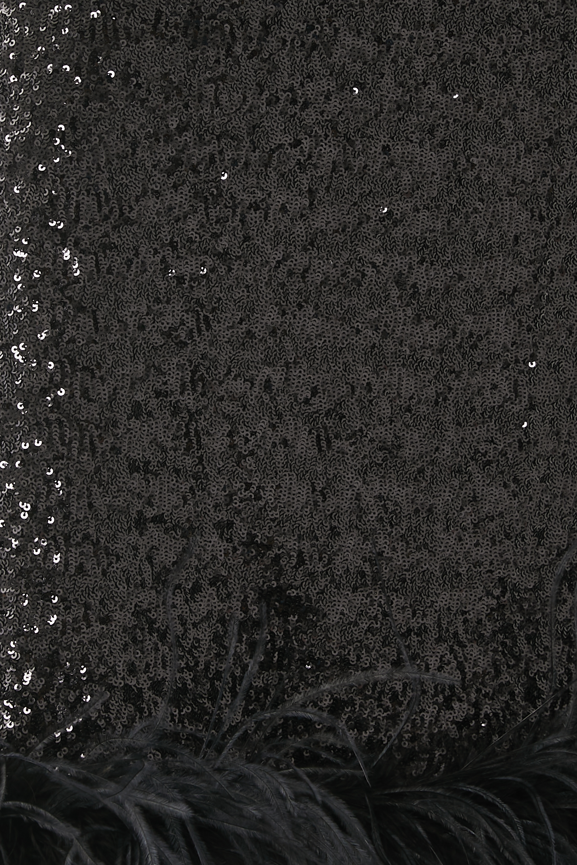 Paillettes Plumage Dress