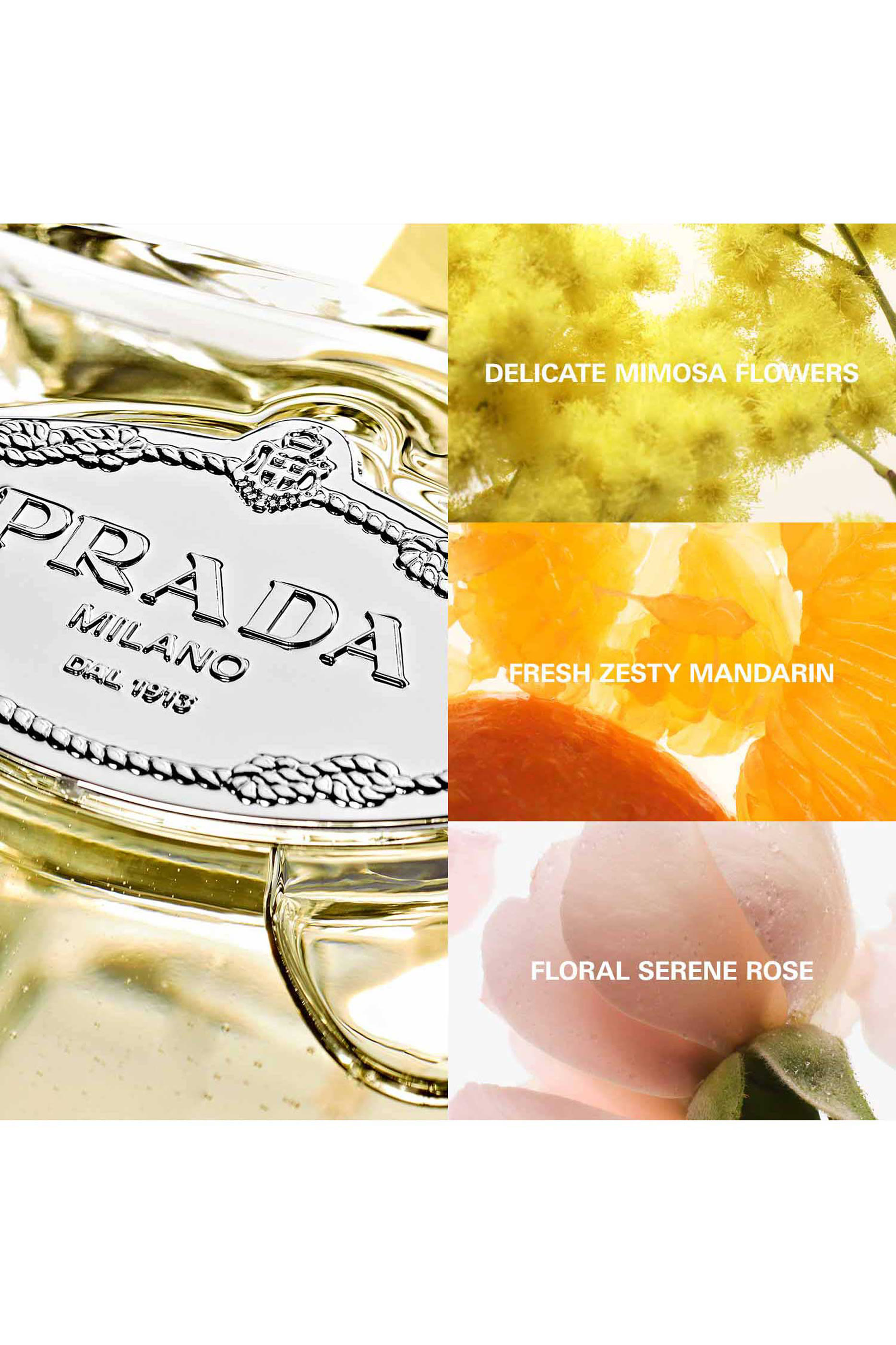 Les Infusions de Prada Mimosa Eau de Parfum