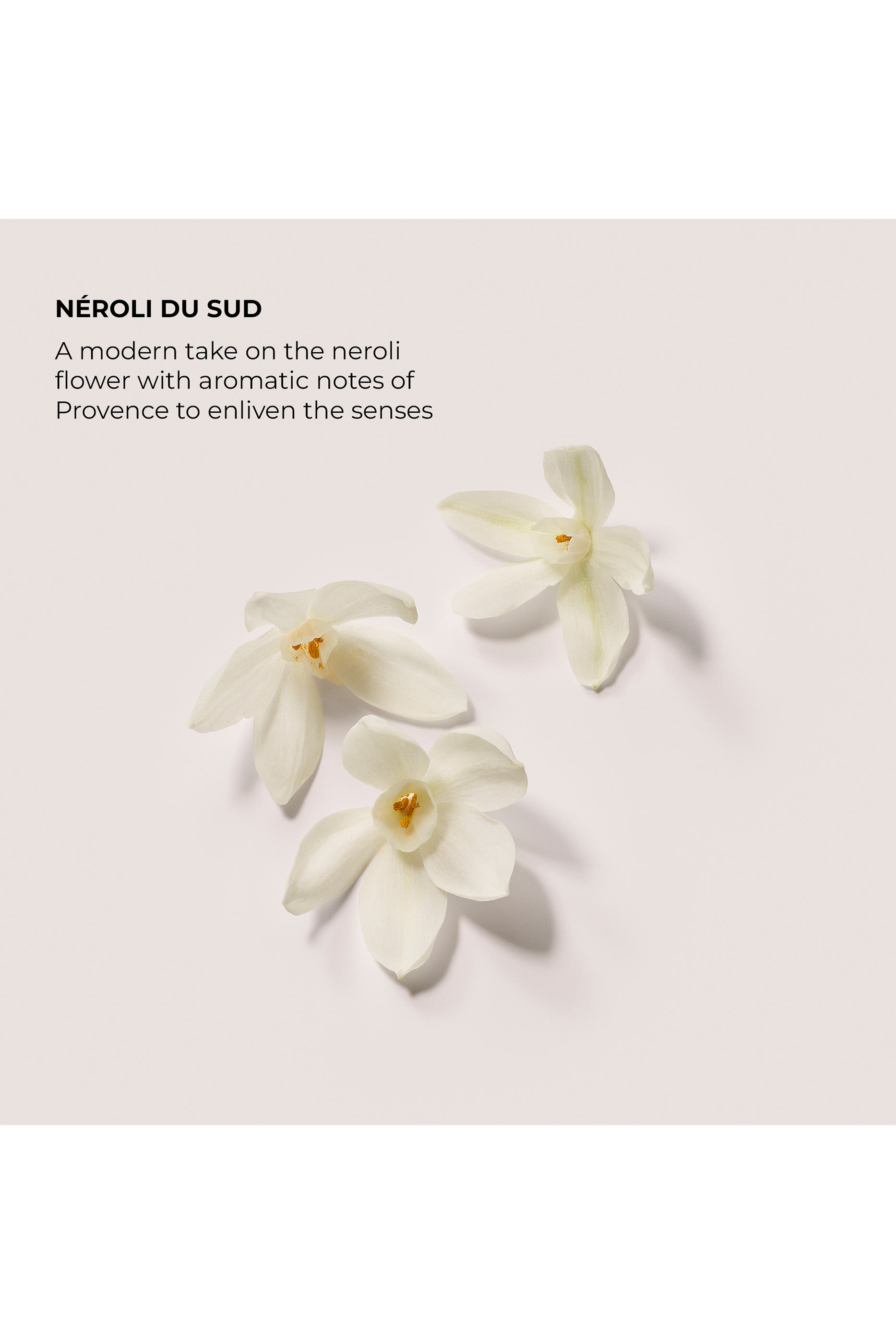 Neroli Du Sud Aromatic Bath & Body Oil, 100ml